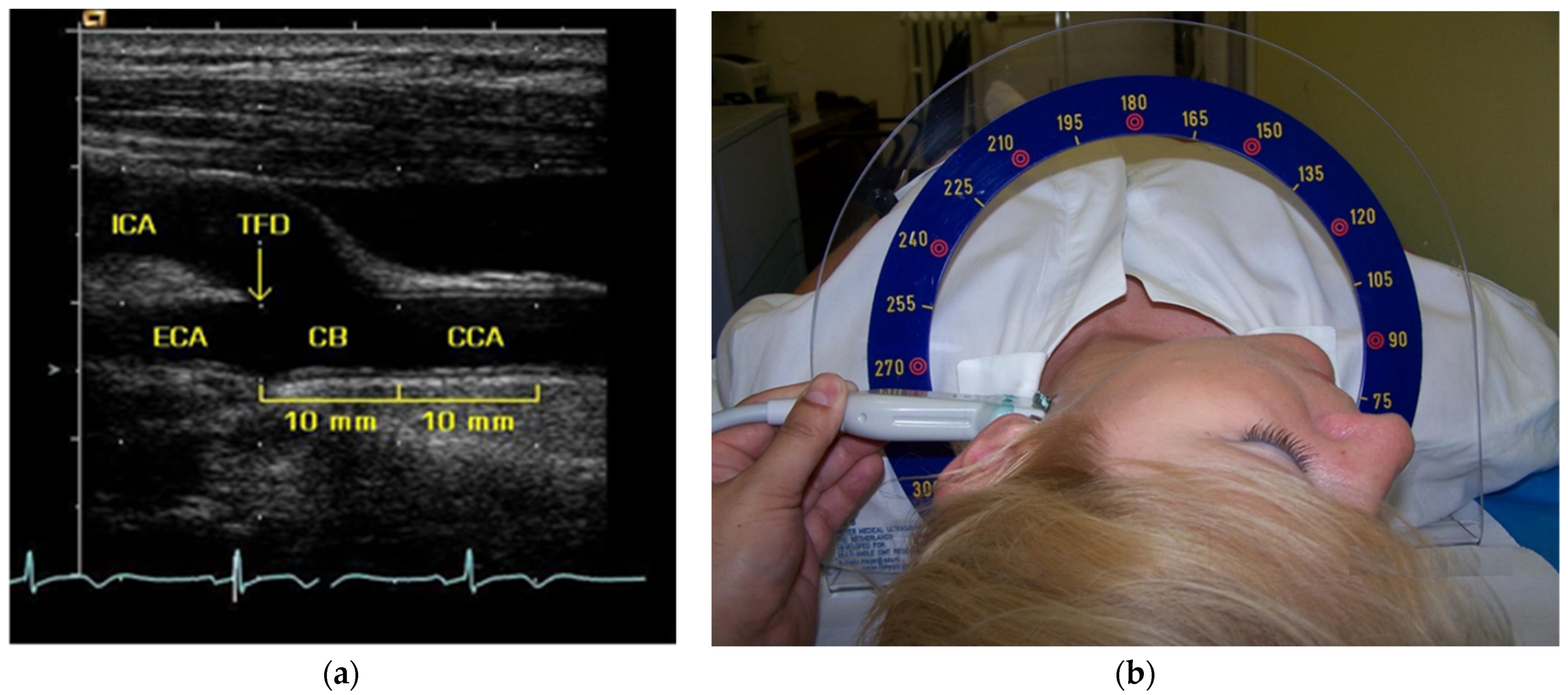 Diagnostics 12 03206 g001 Diagnostics 12 03206 g001