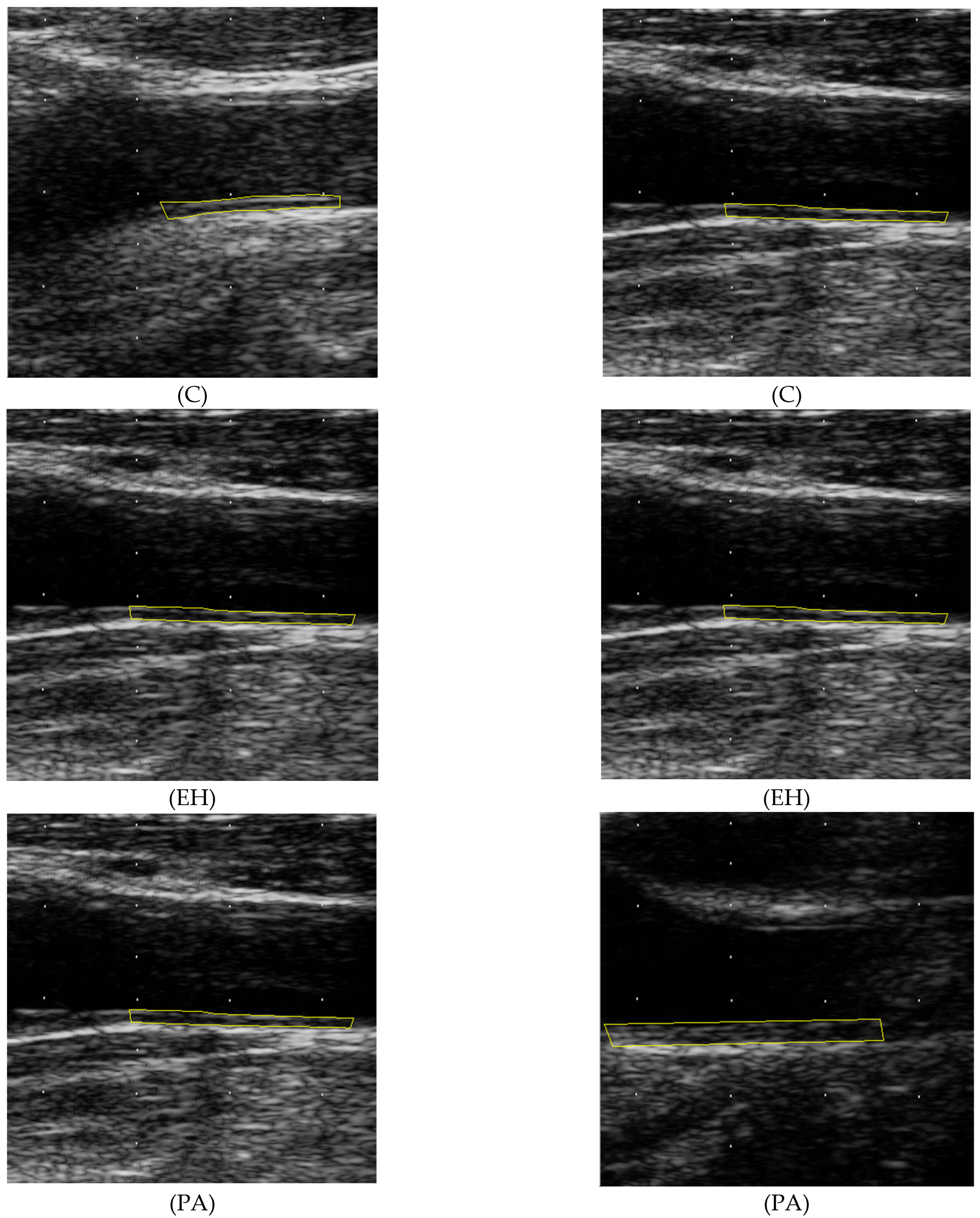 Diagnostics 12 03206 g003 Diagnostics 12 03206 g003
