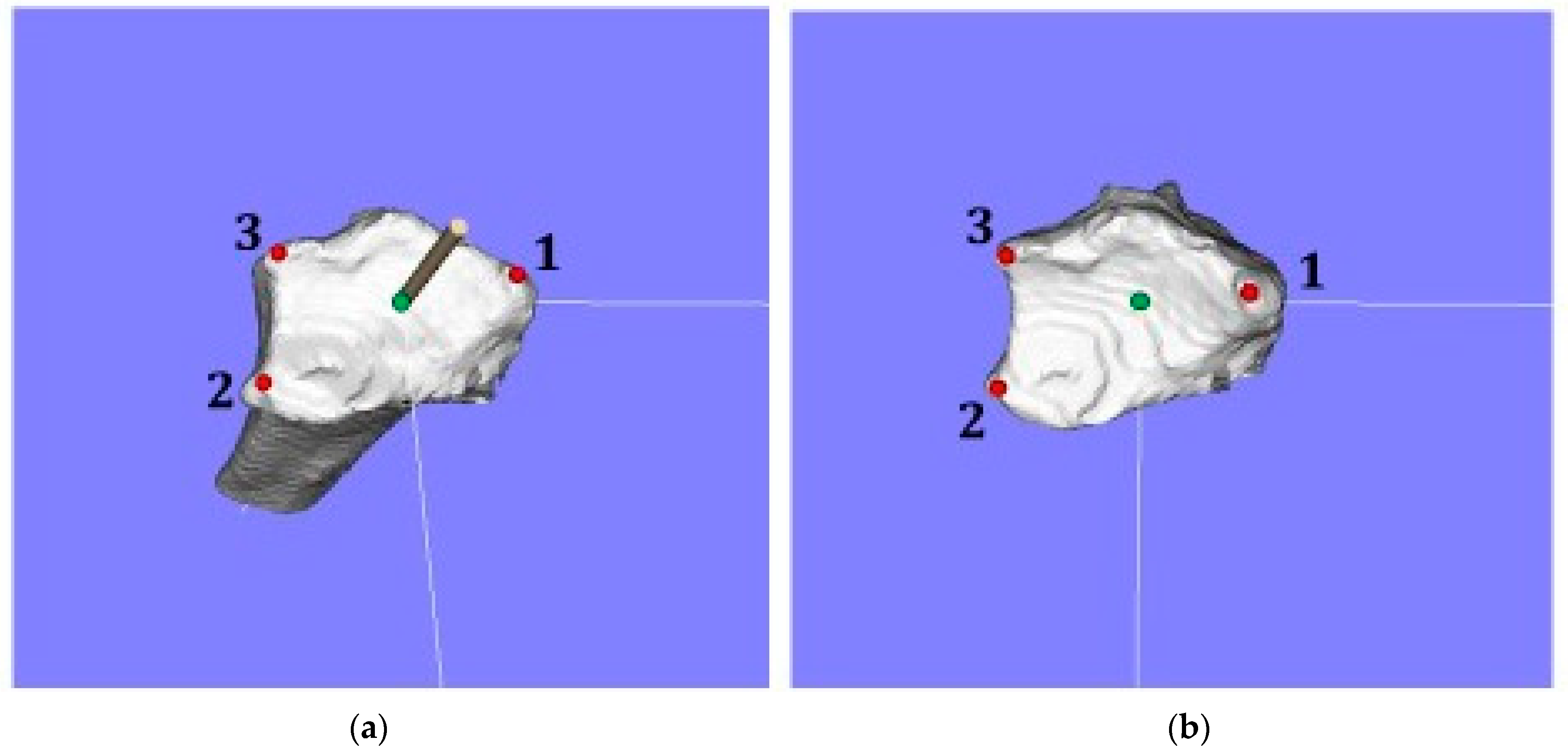 Diagnostics 12 03212 g001
