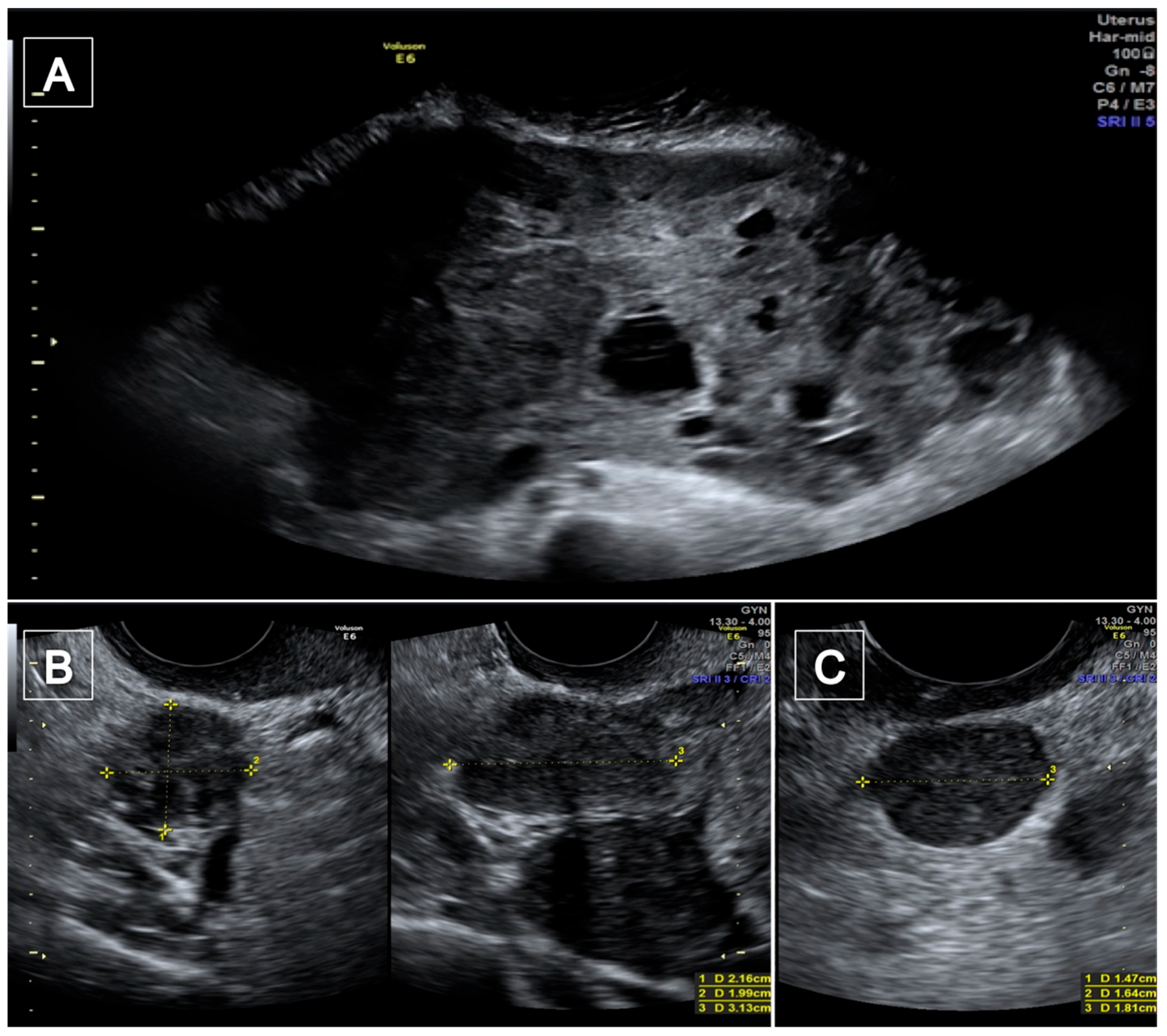 Diagnostics 12 03219 g001 Diagnostics 12 03219 g001