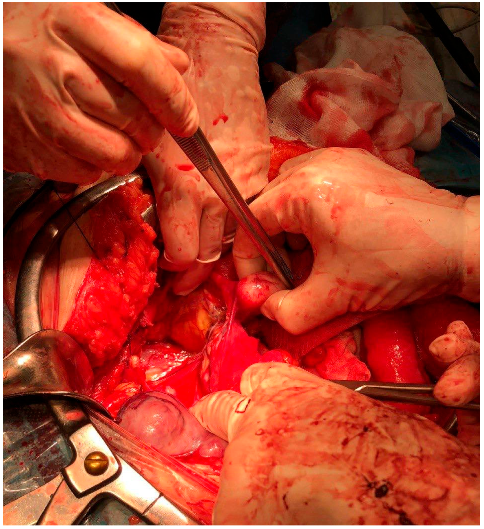 Diagnostics 12 03219 g002 Diagnostics 12 03219 g002