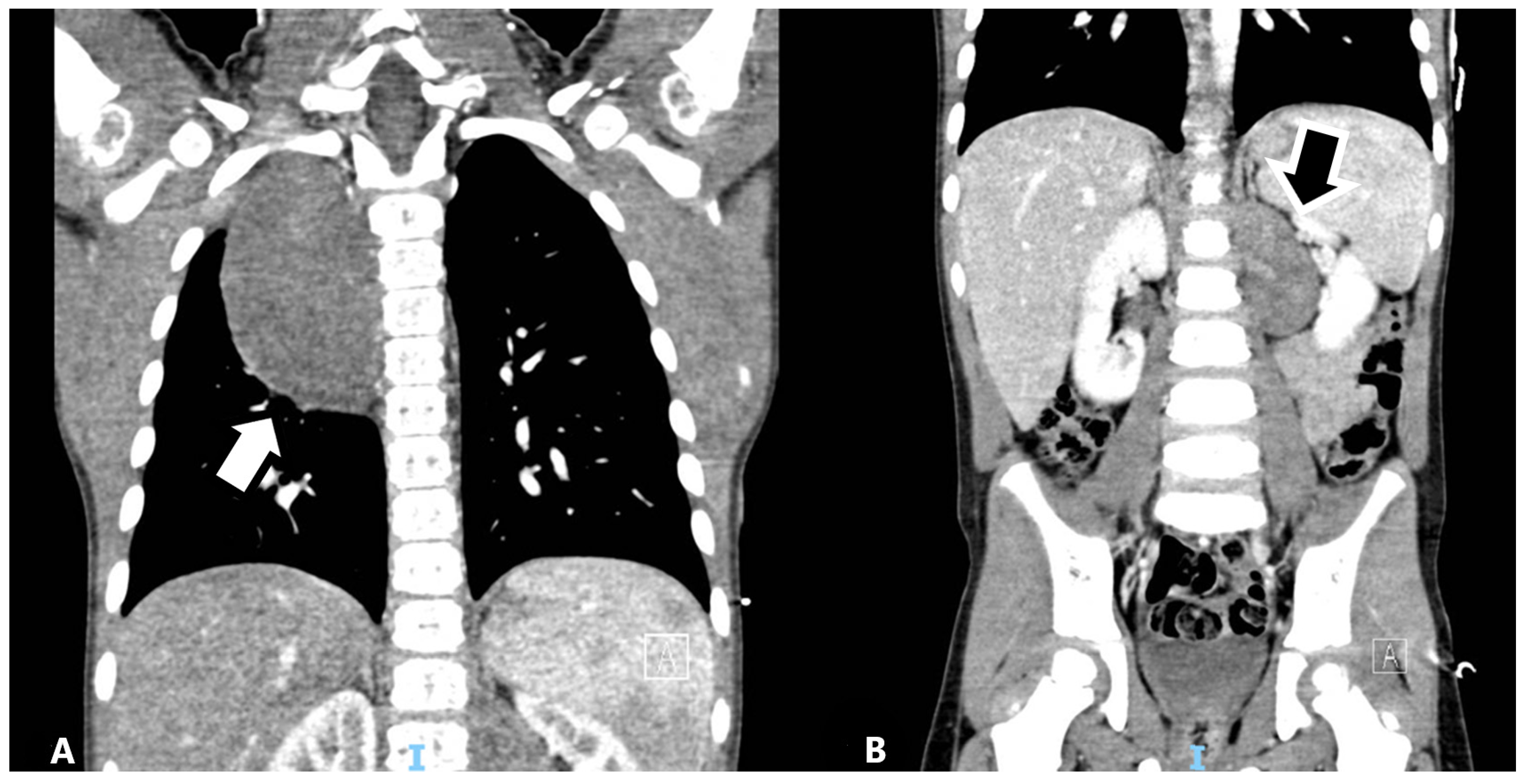 Diagnostics 12 03221 g001