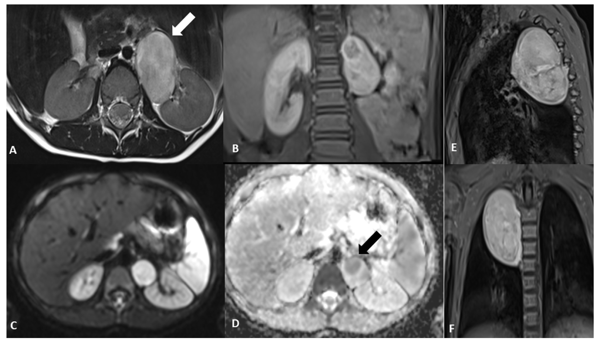 Diagnostics 12 03221 g002