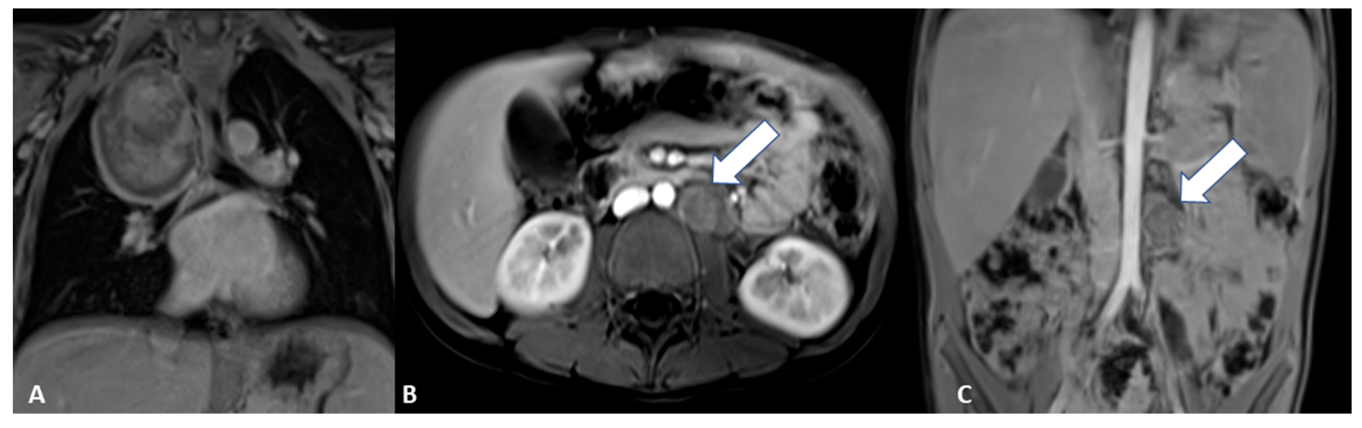 Diagnostics 12 03221 g007
