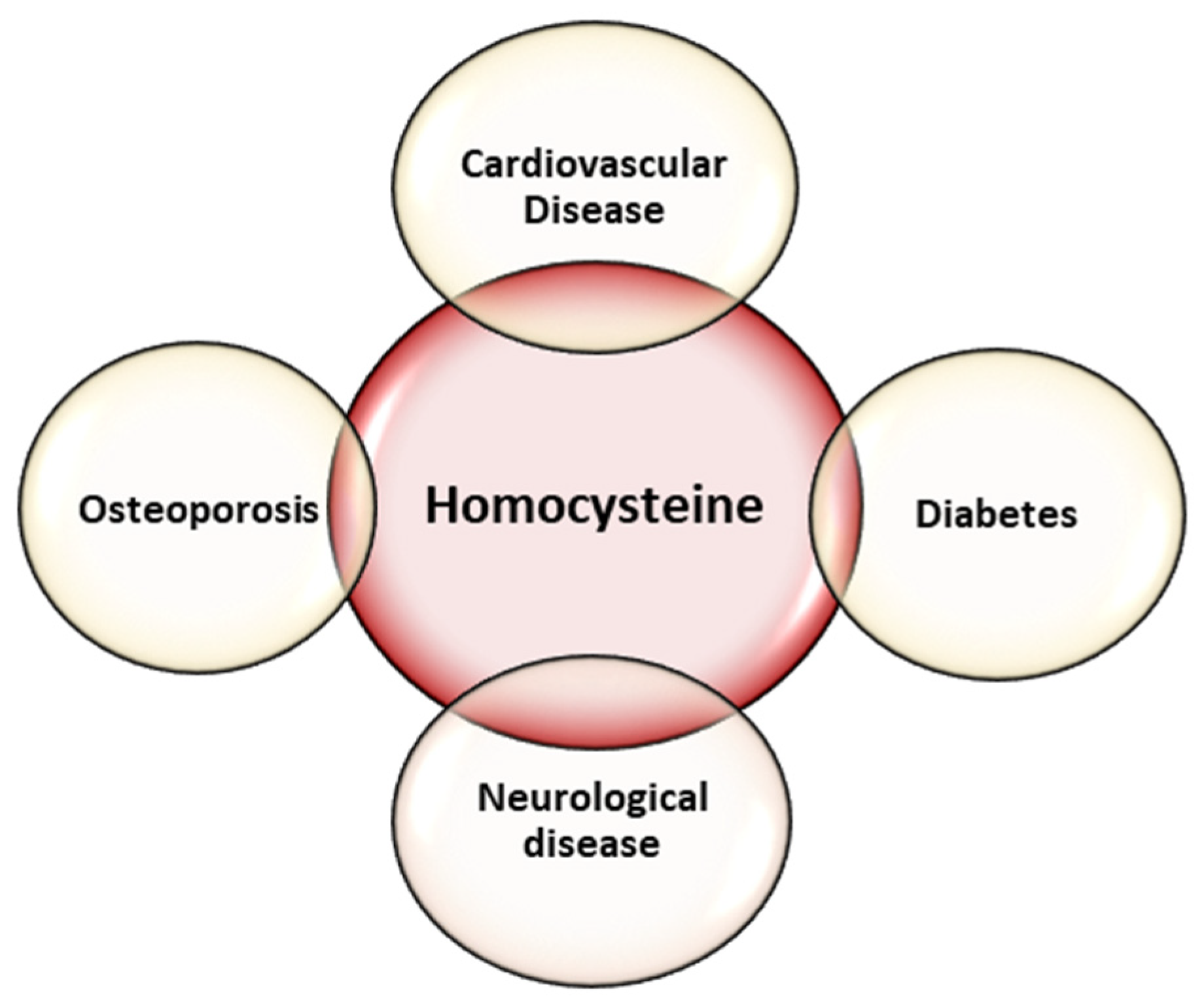 Diagnostics 13 00010 g001 Diagnostics 13 00010 g001