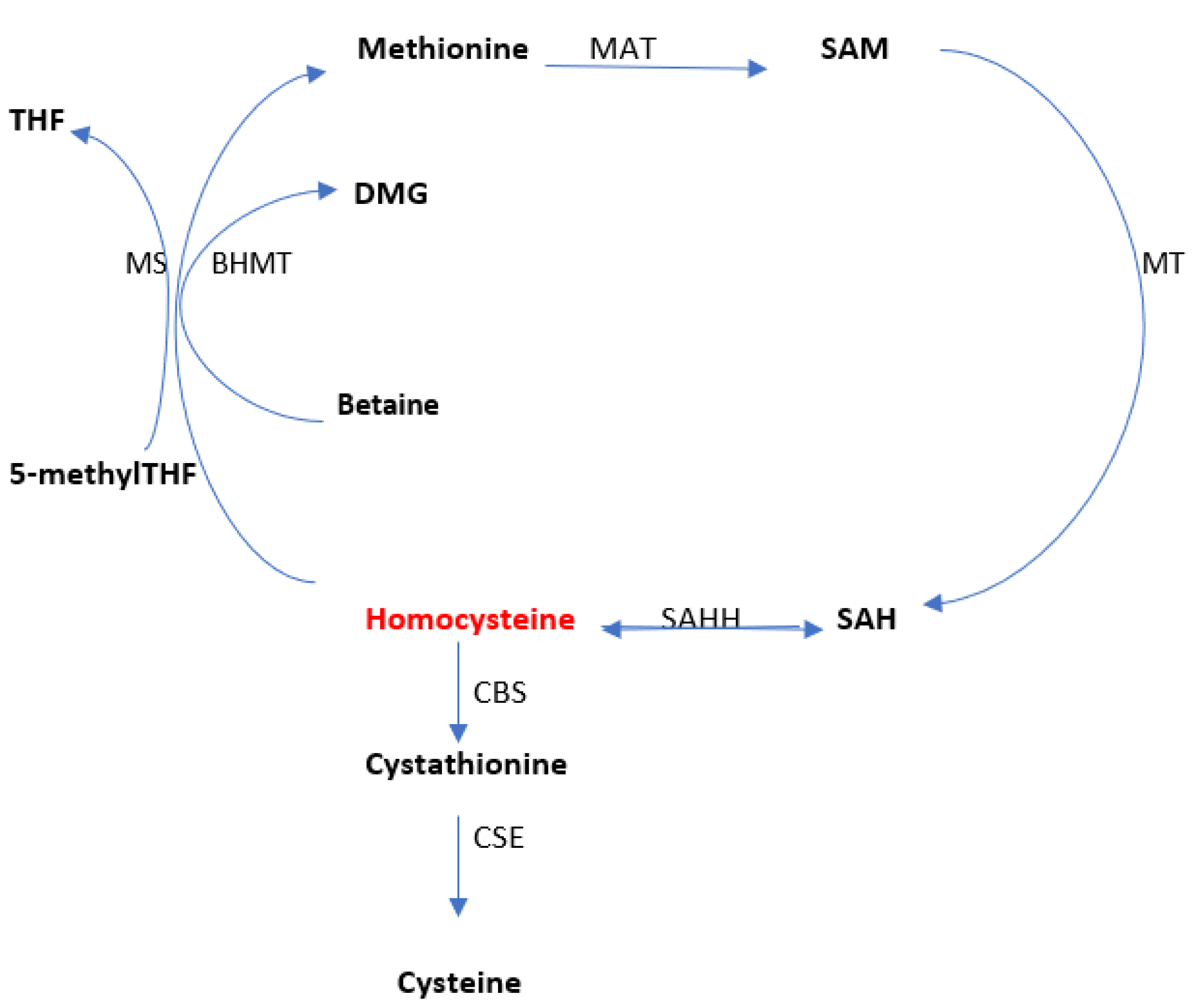 Diagnostics 13 00010 g002 Diagnostics 13 00010 g002