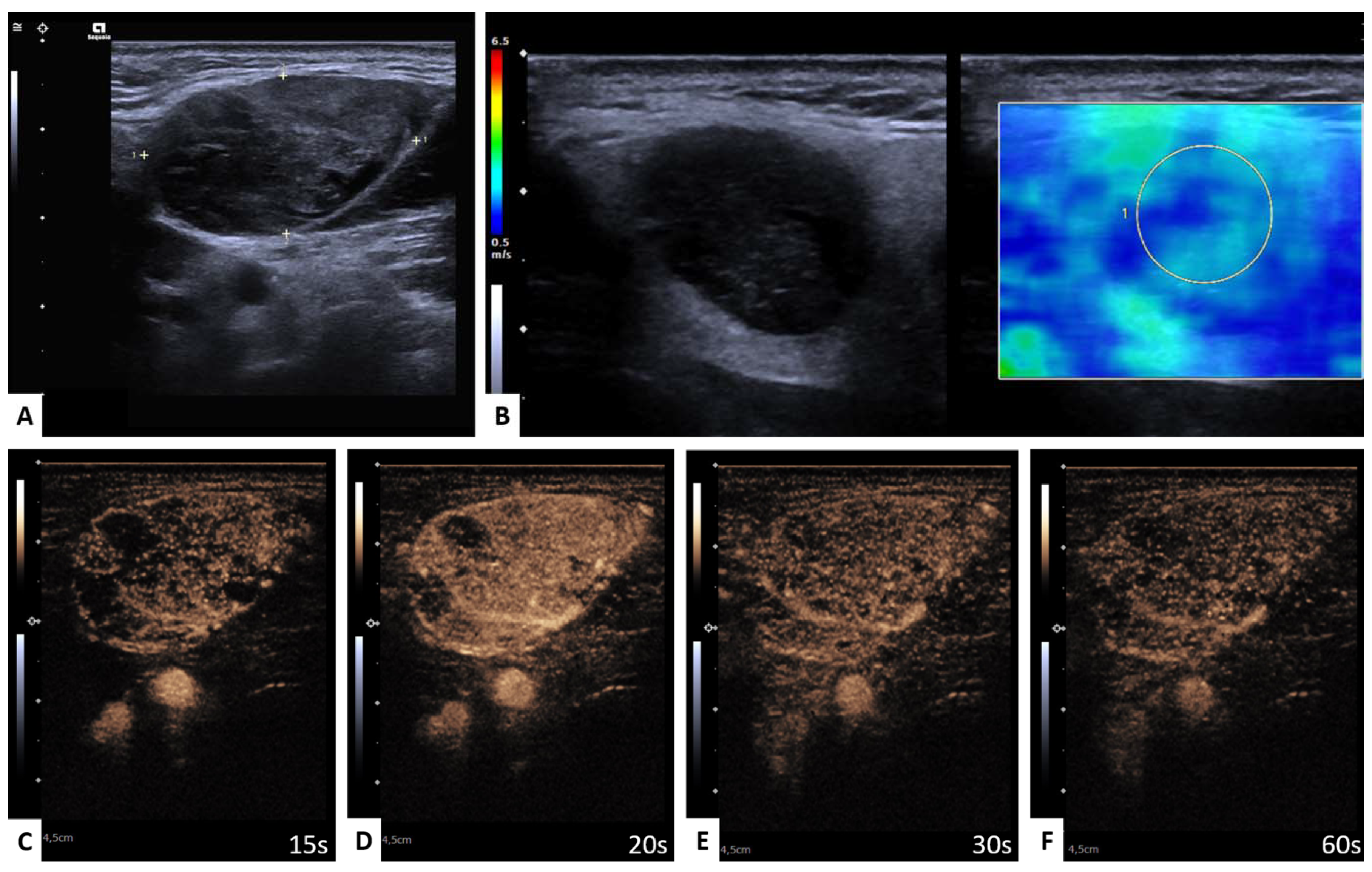 Diagnostics 13 00012 g001
