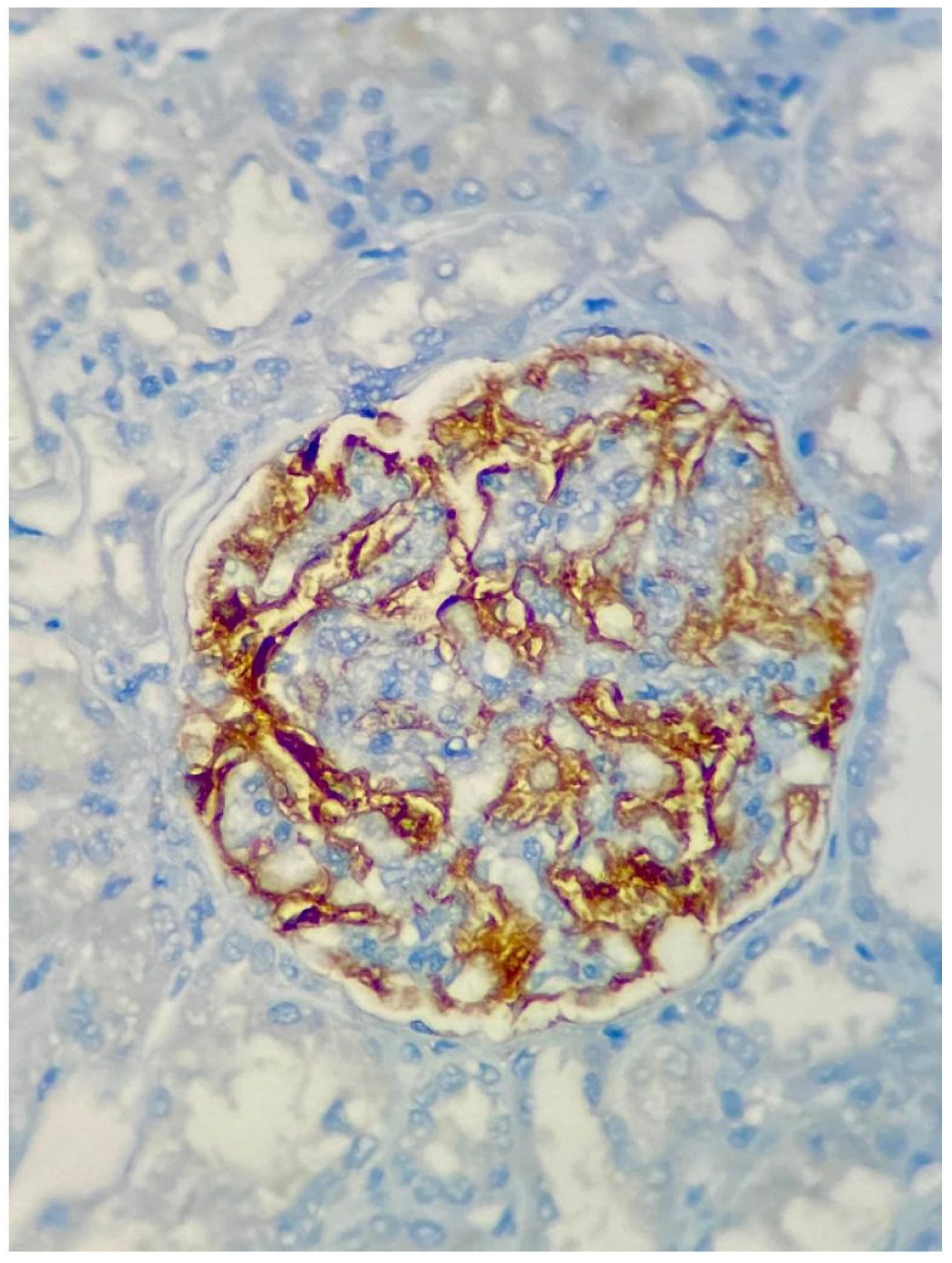 Diagnostics 13 00017 g001