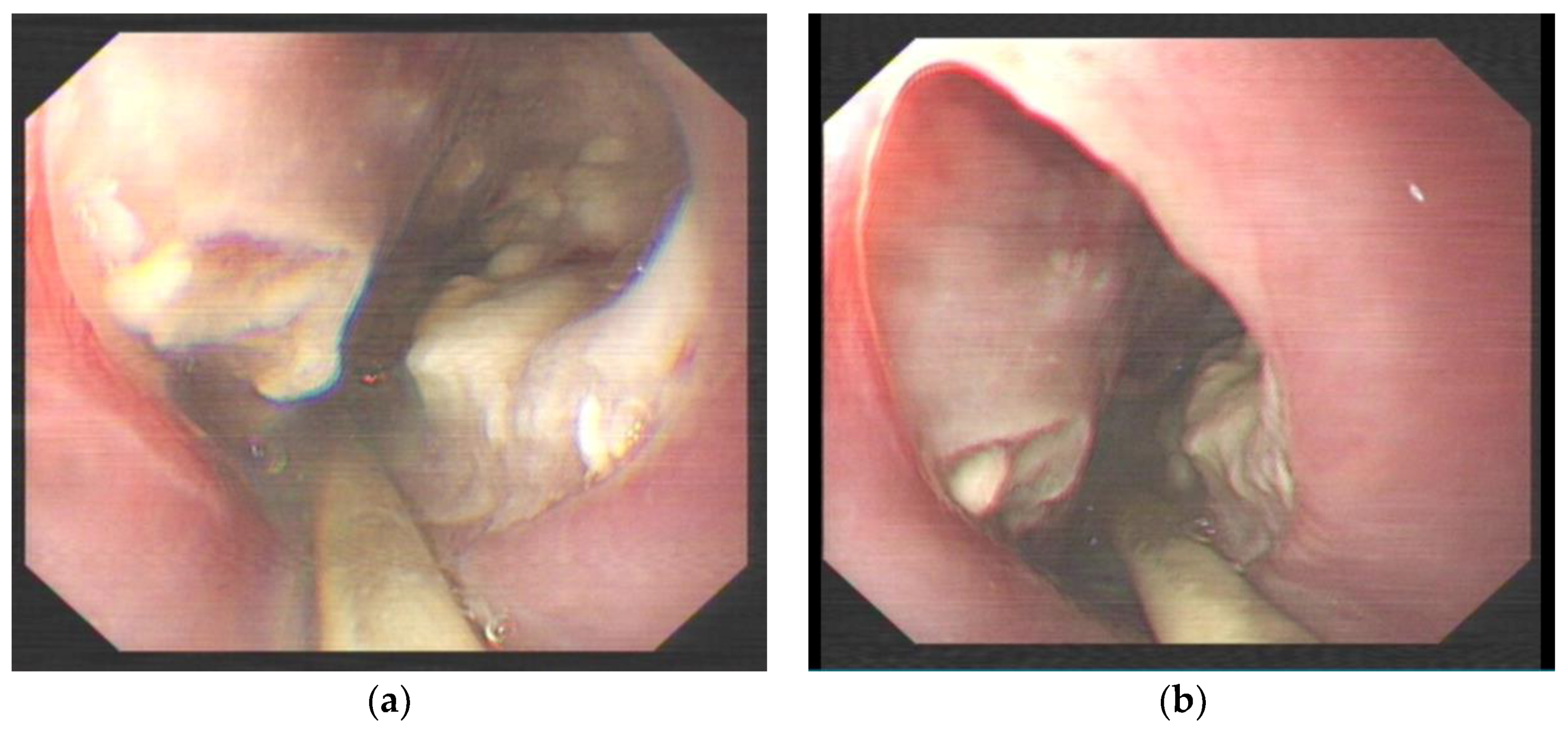 Diagnostics 13 00019 g003