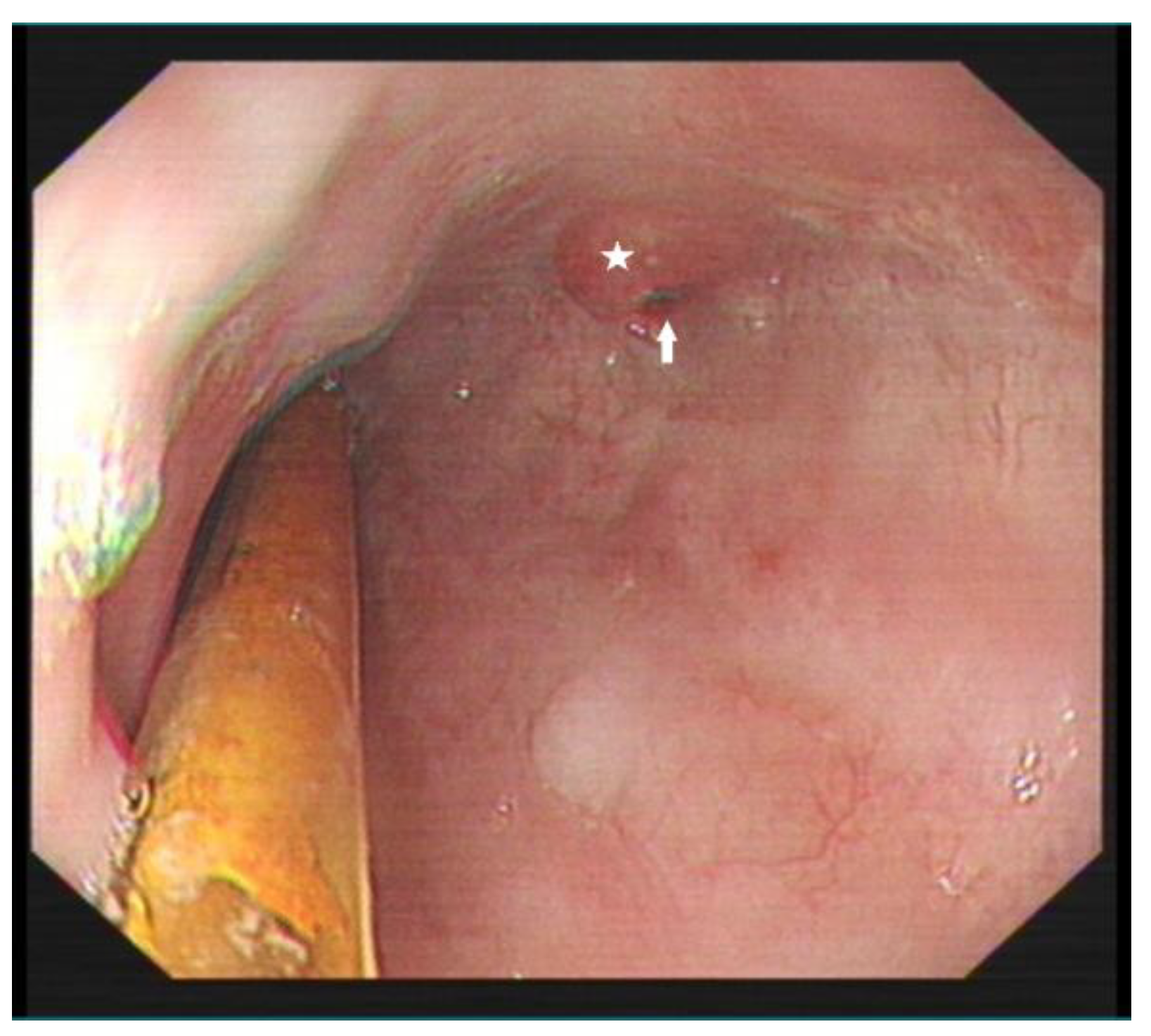 Diagnostics 13 00019 g004