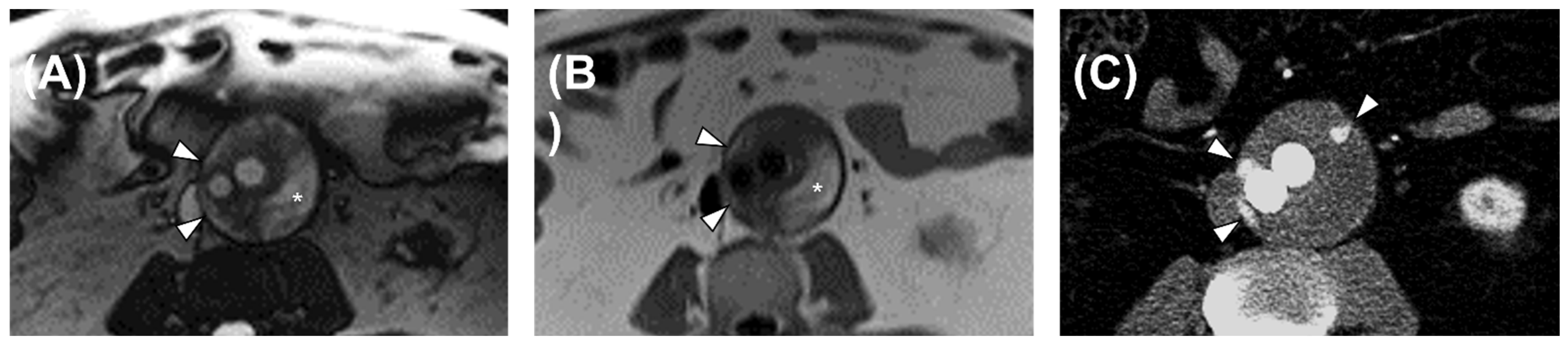 Diagnostics 13 00020 g001