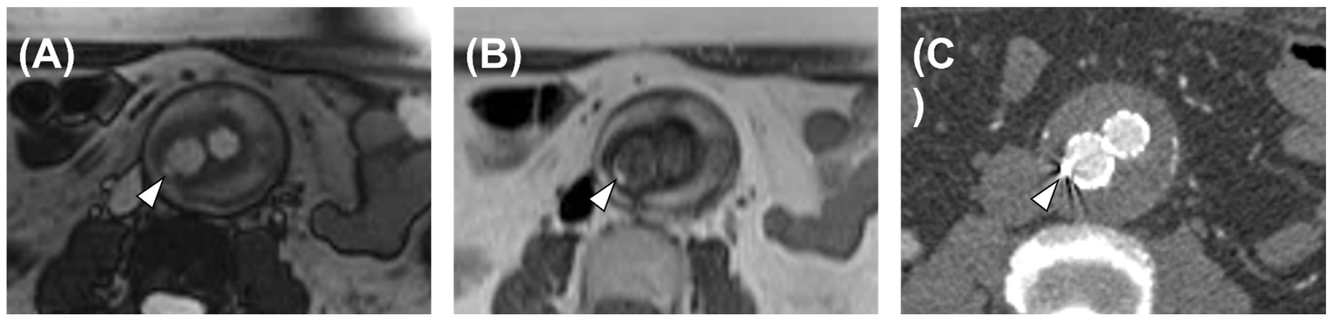 Diagnostics 13 00020 g002