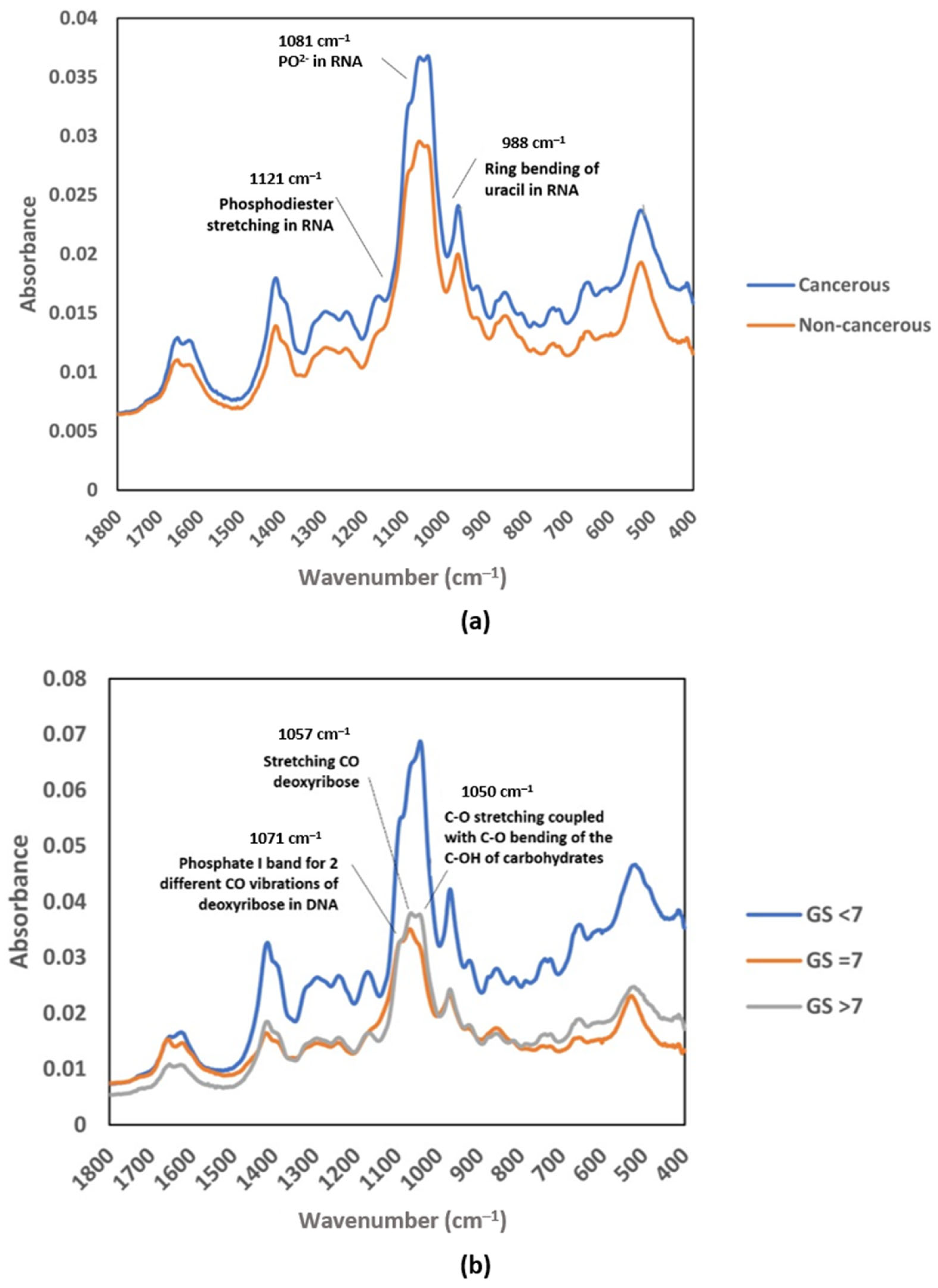 Diagnostics 13 00022 g003 Diagnostics 13 00022 g003