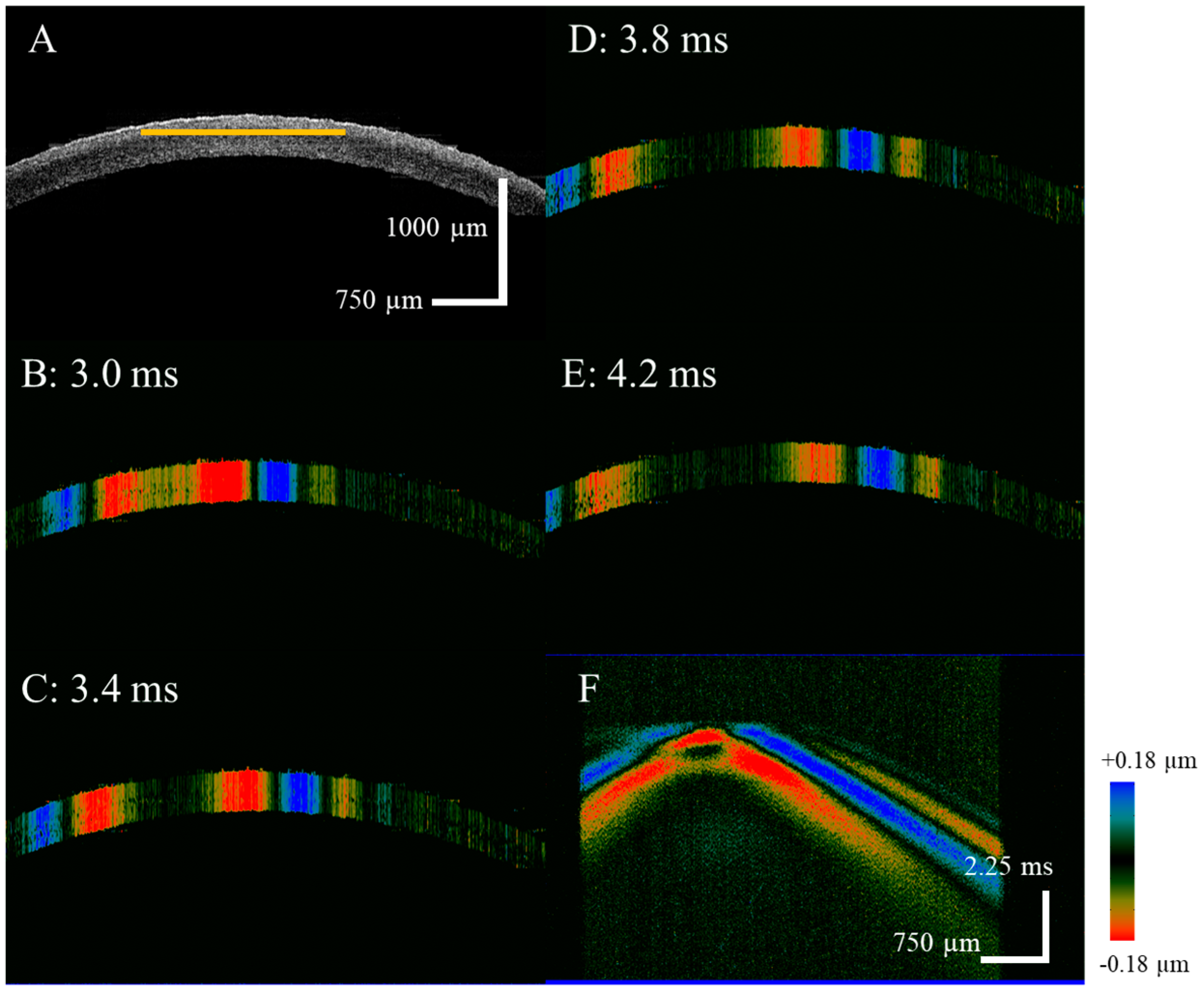 Diagnostics 13 00030 g002