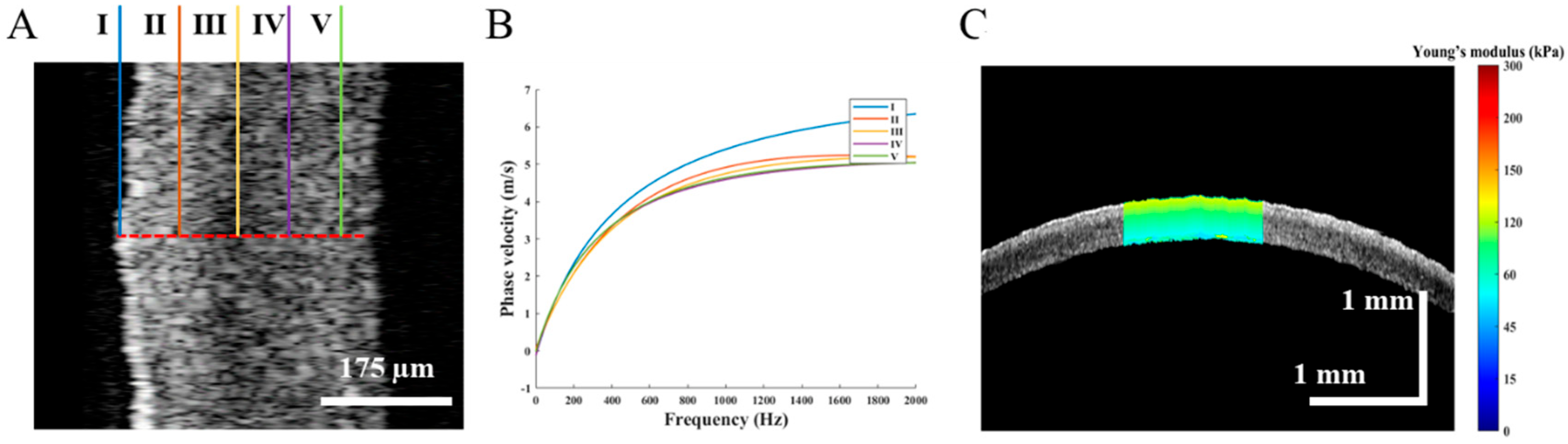 Diagnostics 13 00030 g004
