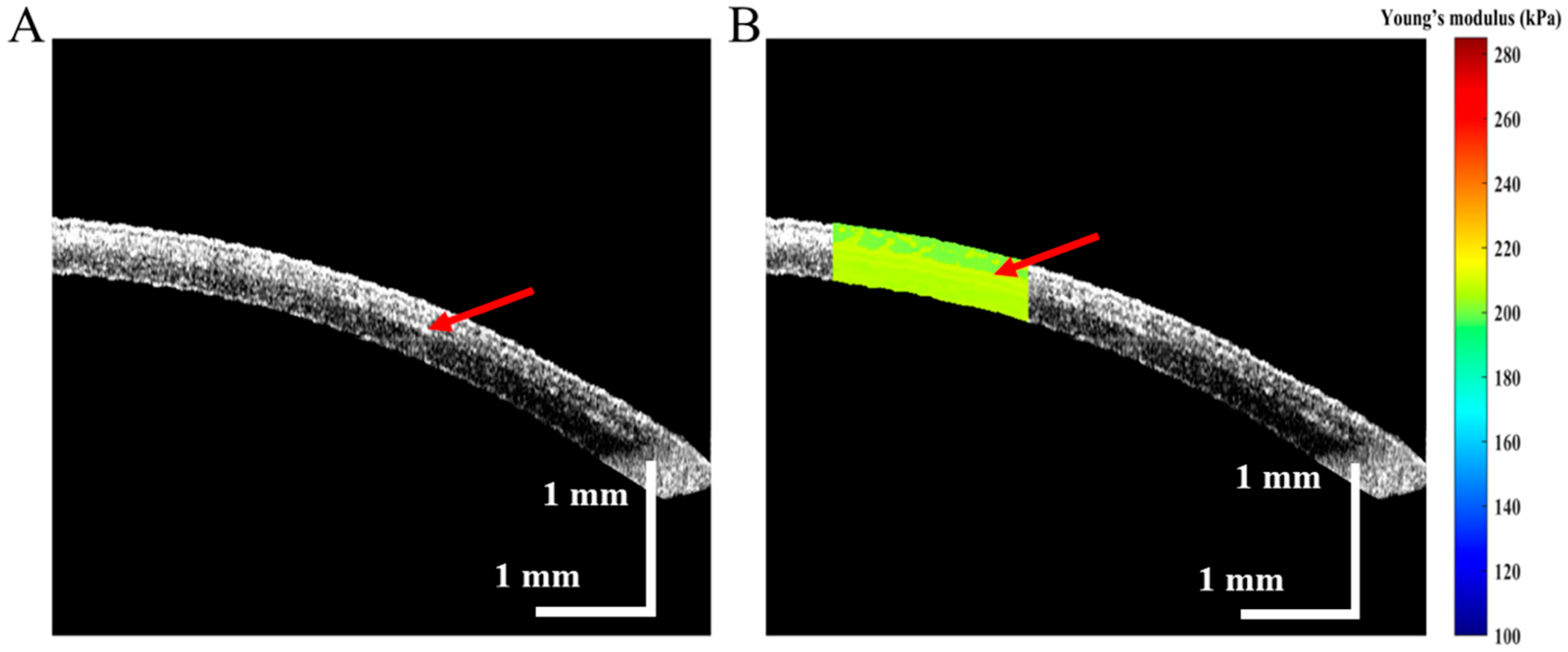 Diagnostics 13 00030 g005