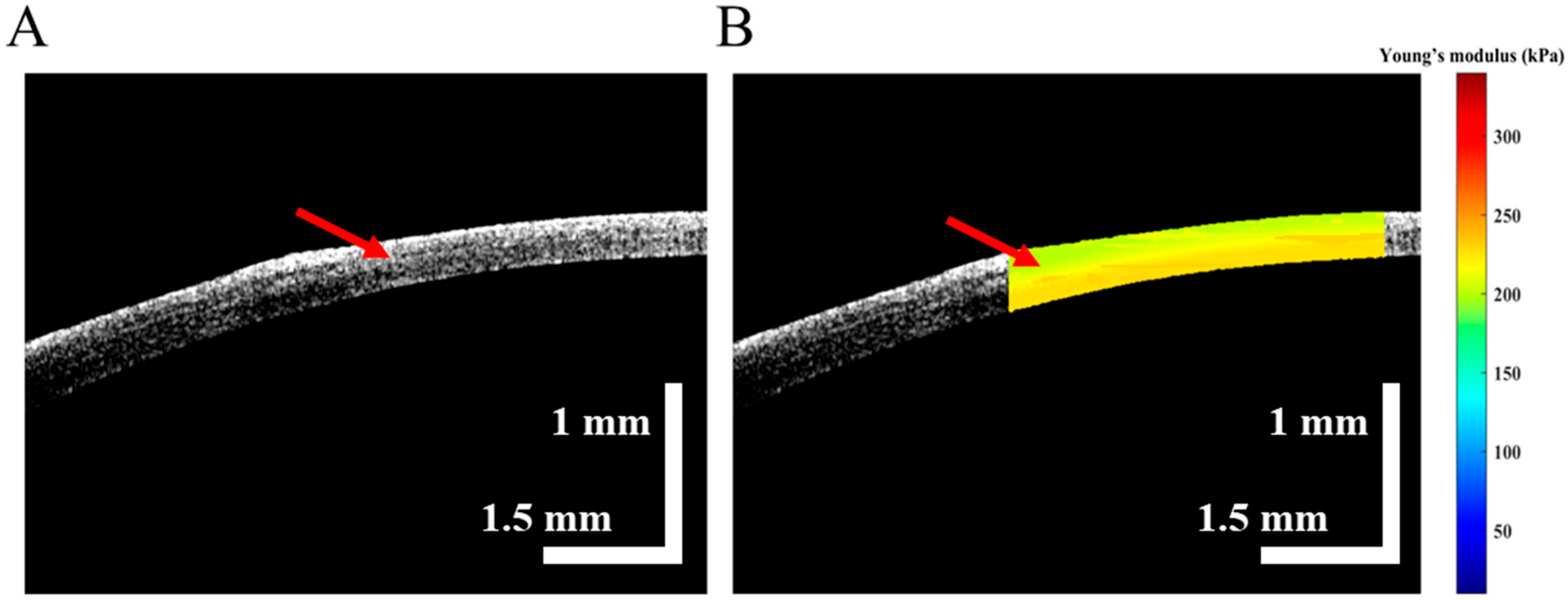 Diagnostics 13 00030 g006