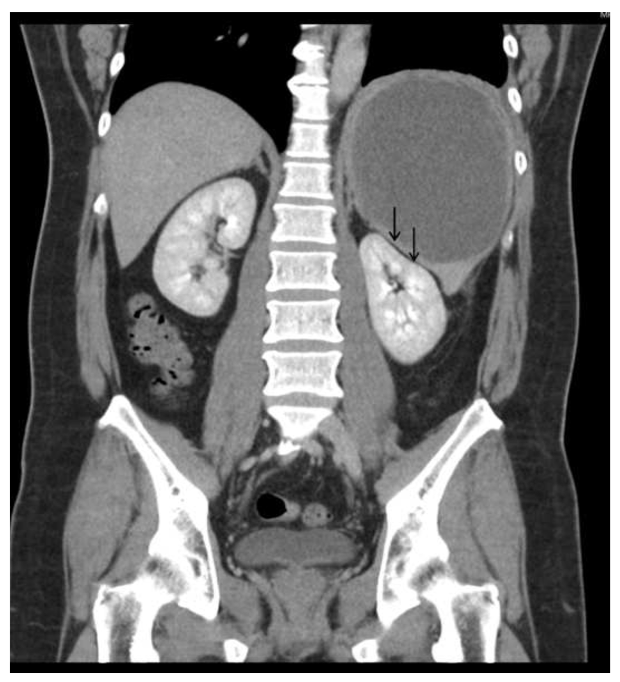 Diagnostics 13 00035 g003 550