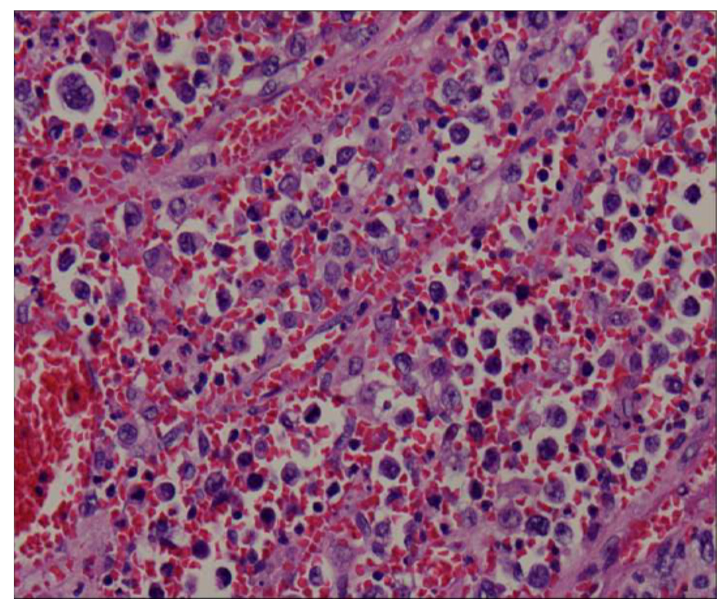 Diagnostics 13 00035 g004 550