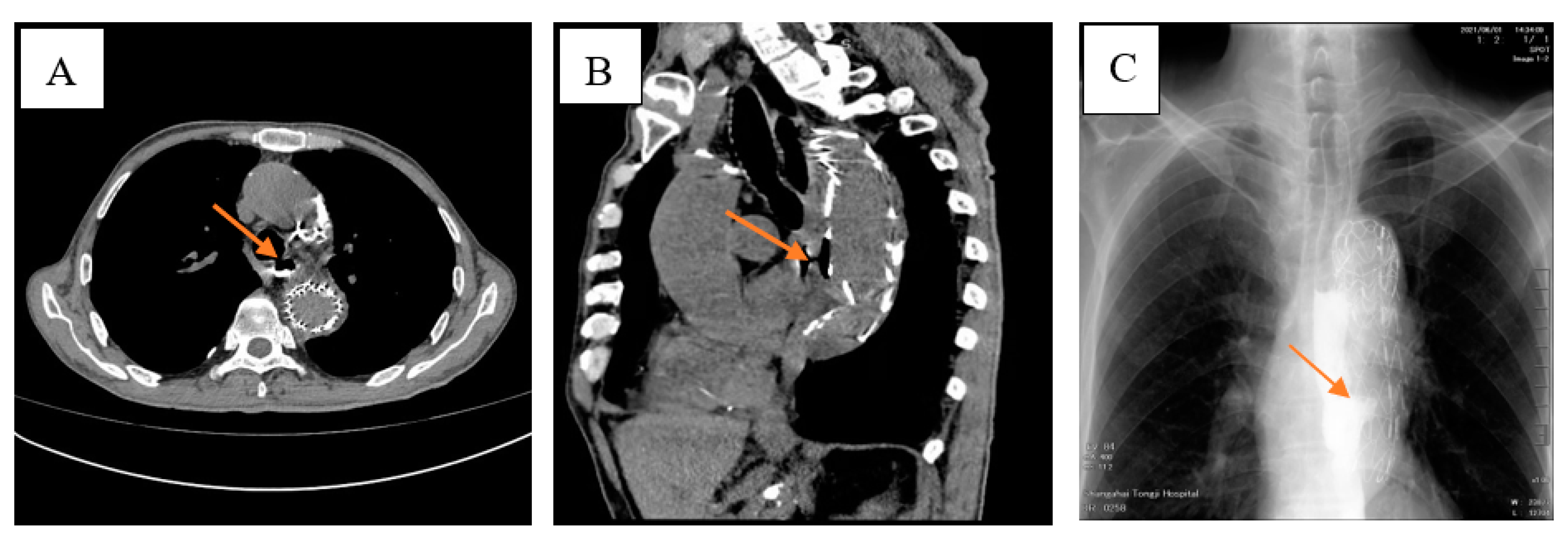 Diagnostics 13 00040 g001