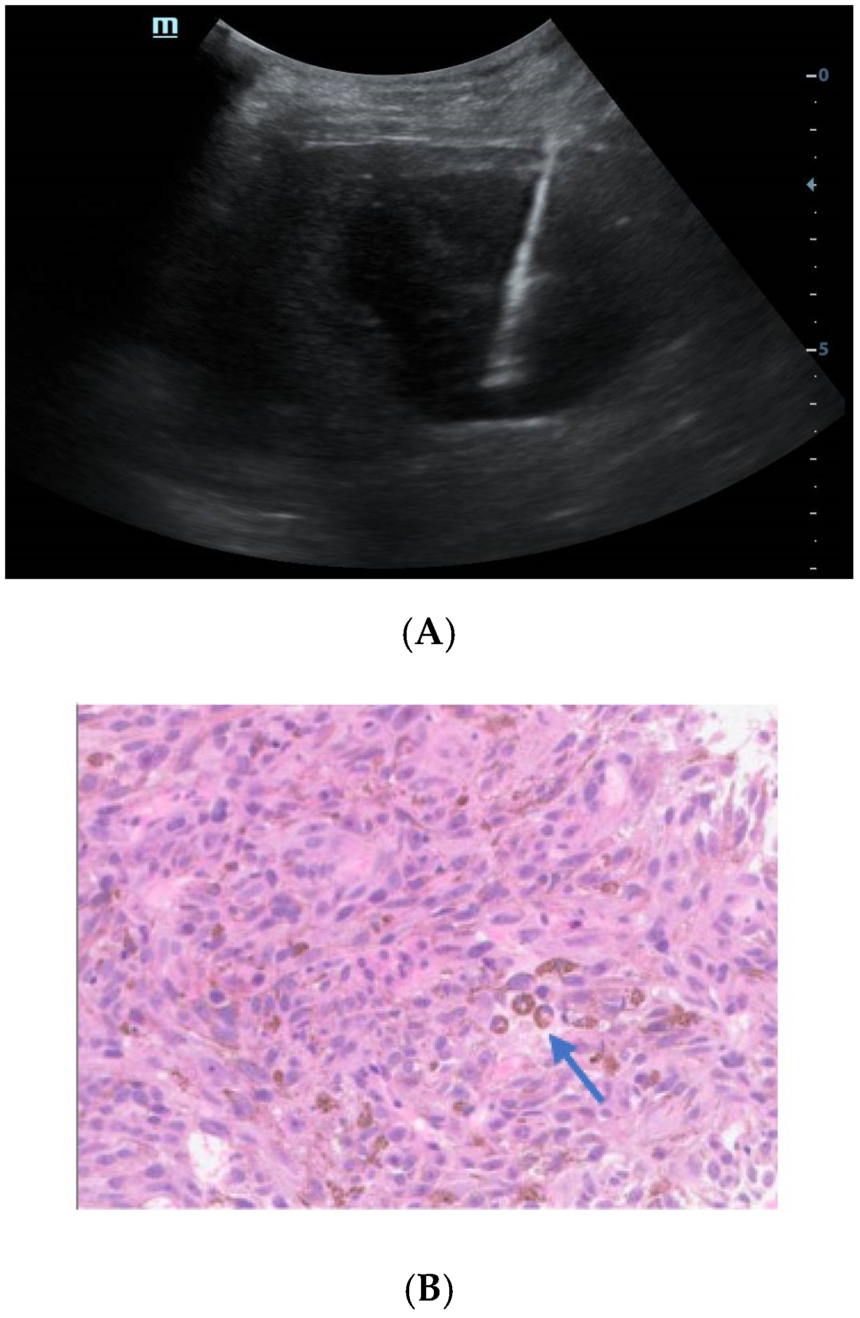 Diagnostics 13 00042 g004 Diagnostics 13 00042 g004