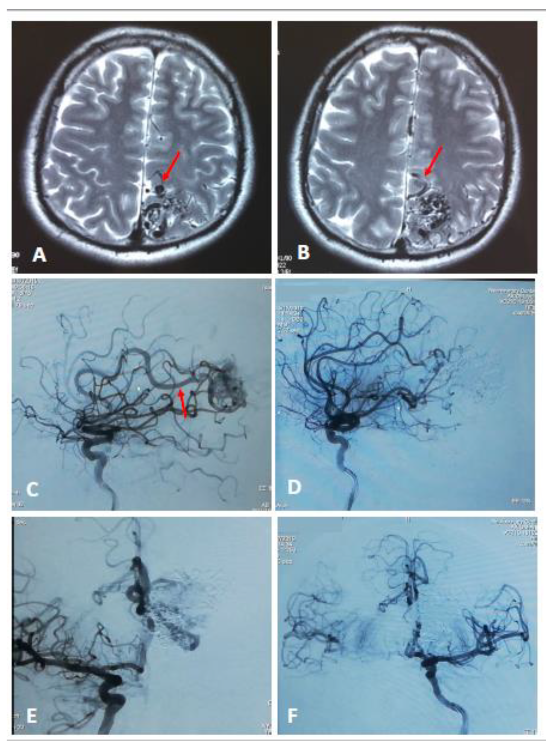 Diagnostics 13 00047 g002