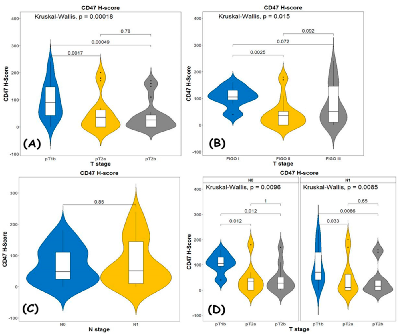 Diagnostics 13 00052 g003 Diagnostics 13 00052 g003