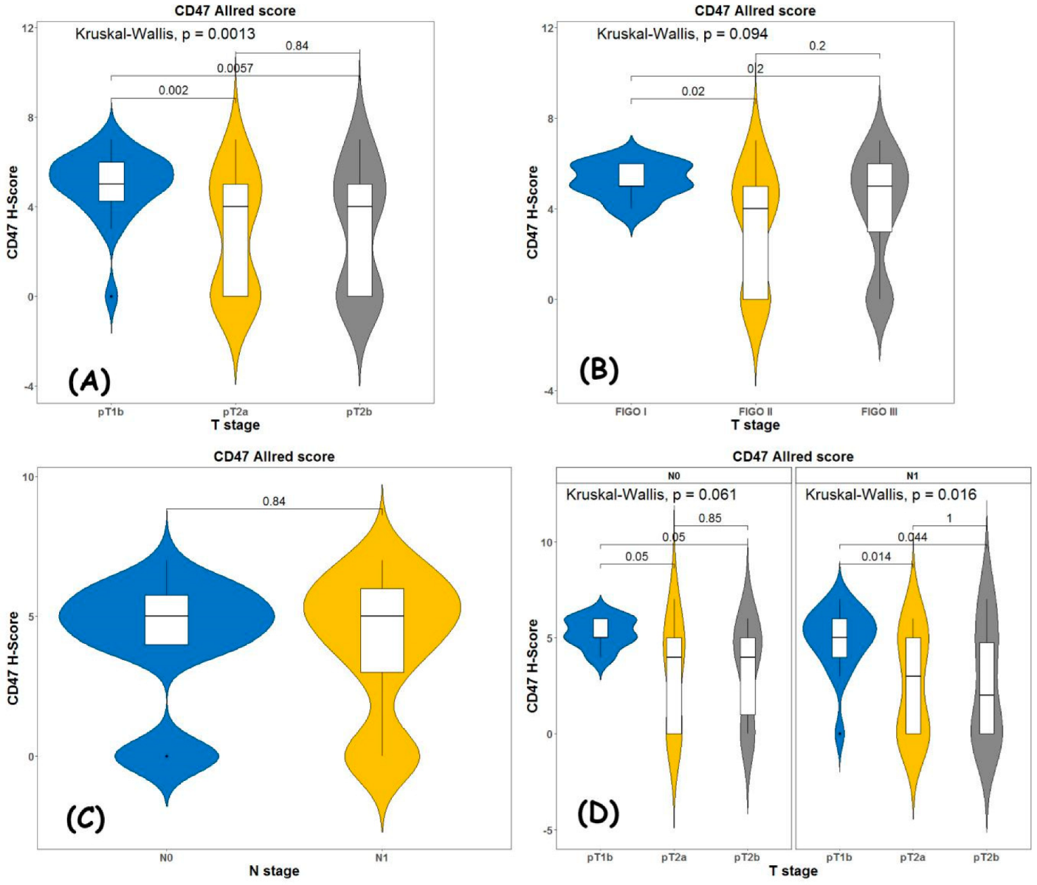 Diagnostics 13 00052 g004 Diagnostics 13 00052 g004