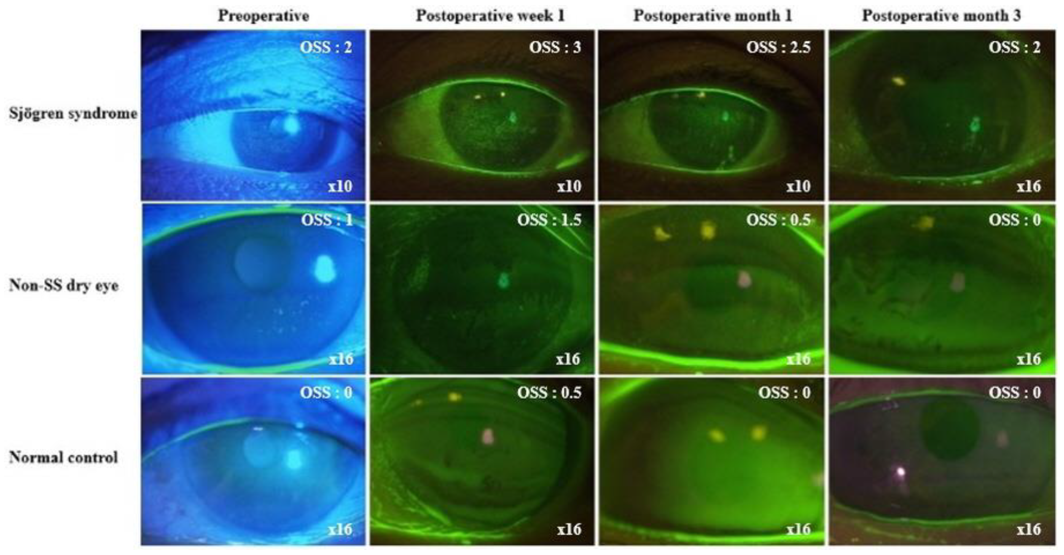 Diagnostics 13 00057 g001