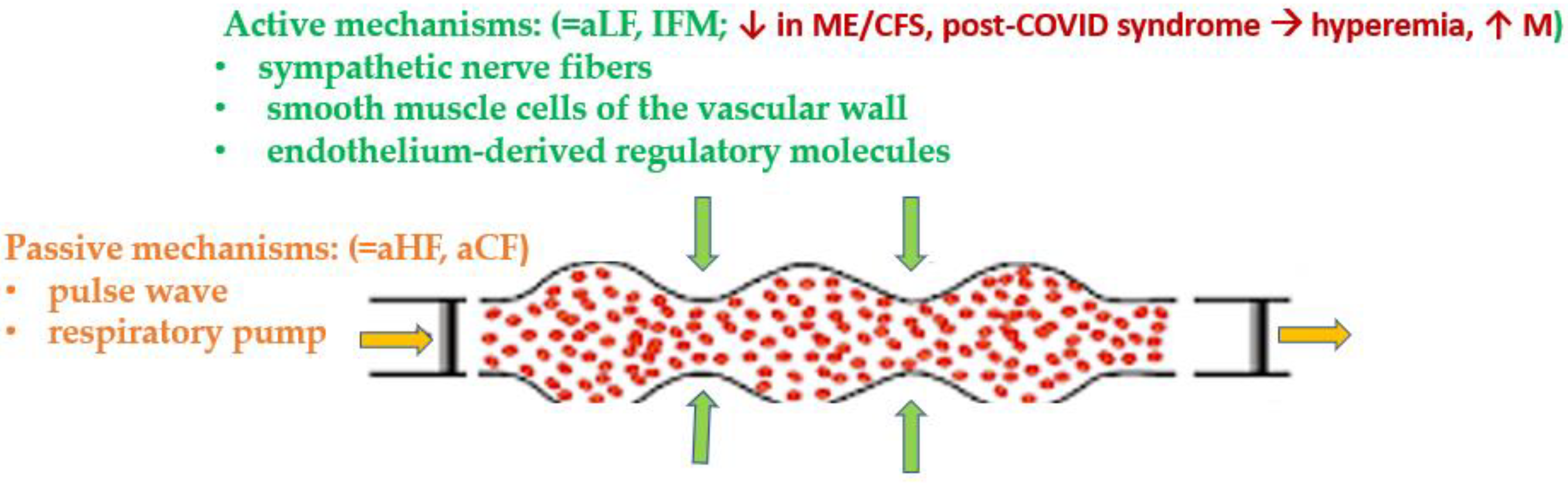 Diagnostics 13 00066 g002