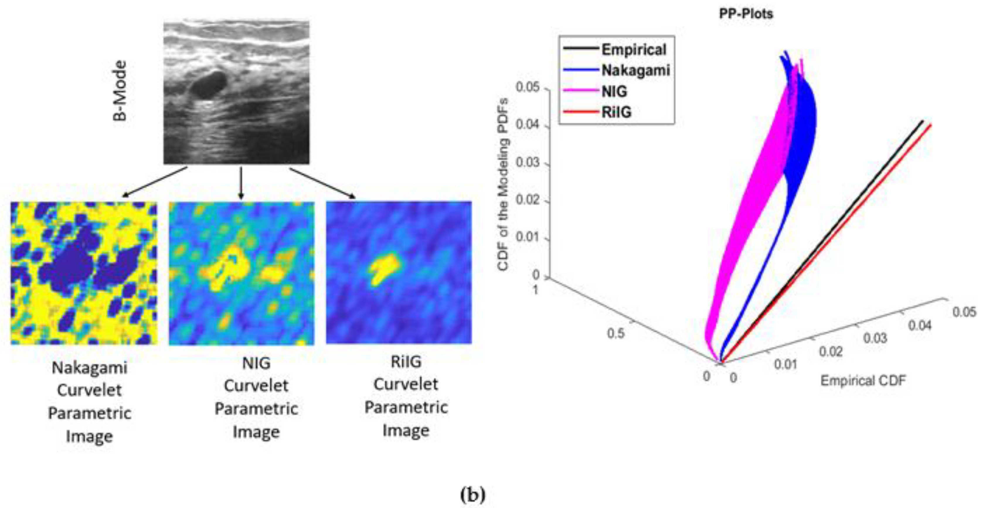 Diagnostics 13 00069 g005b Diagnostics 13 00069 g005b