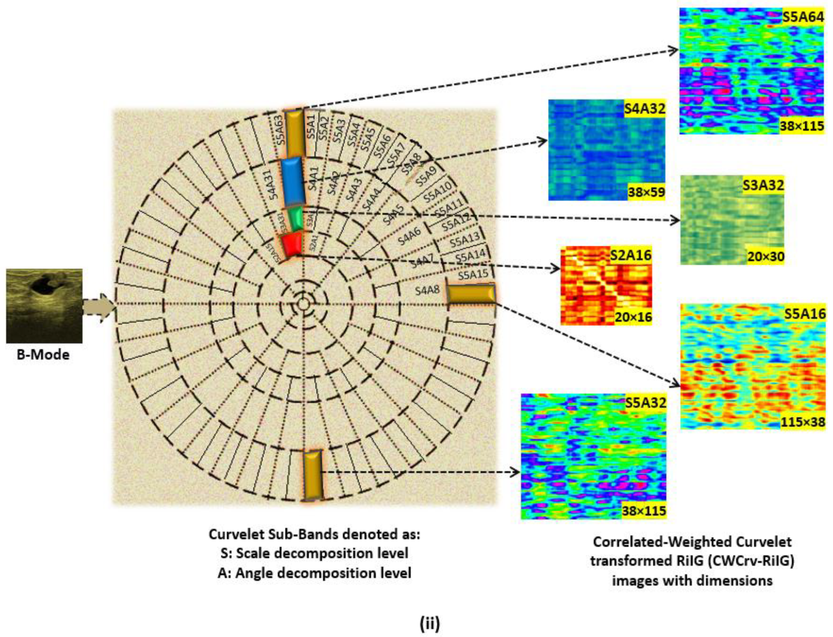 Diagnostics 13 00069 g007b Diagnostics 13 00069 g007b