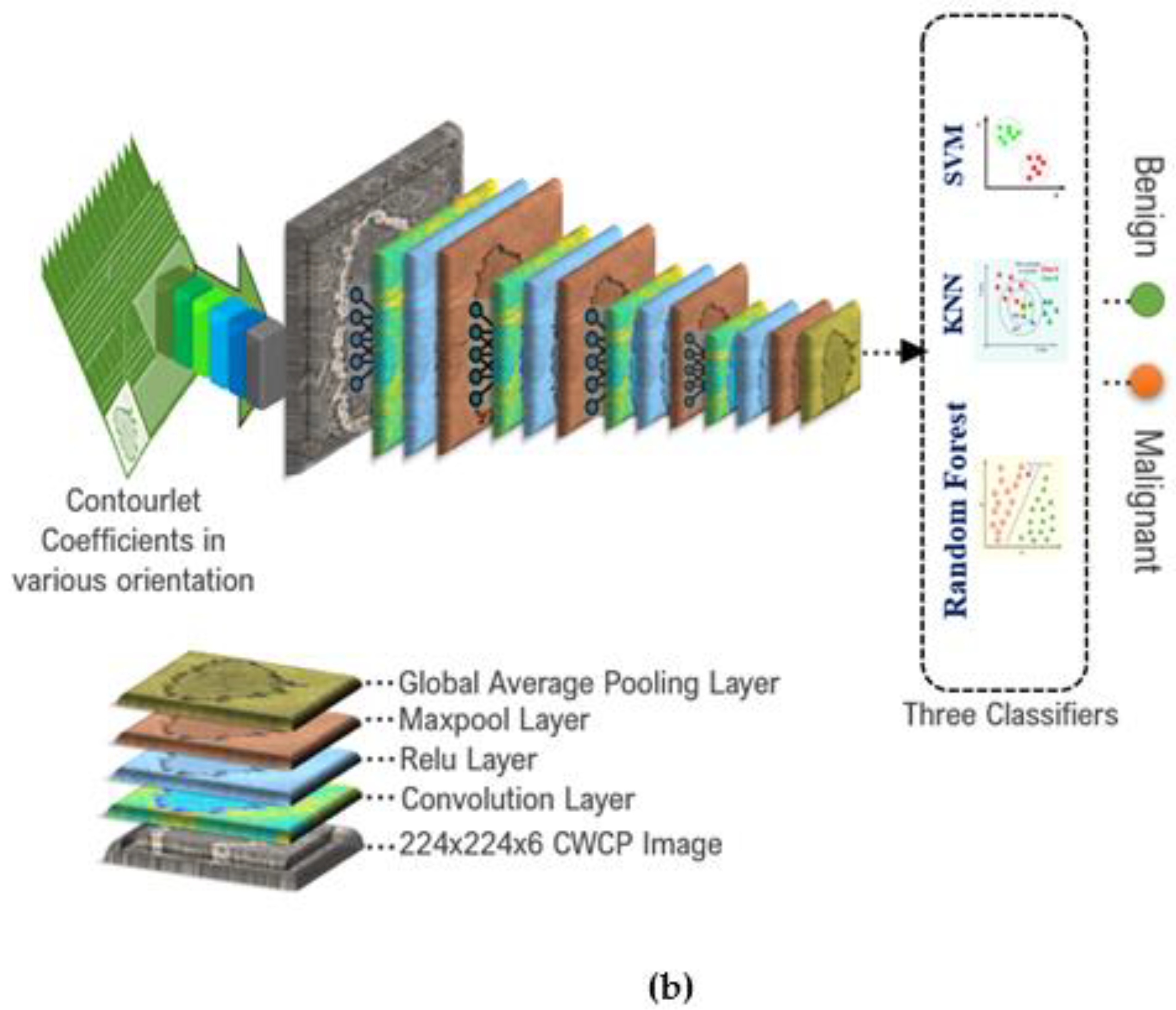 Diagnostics 13 00069 g008b Diagnostics 13 00069 g008b