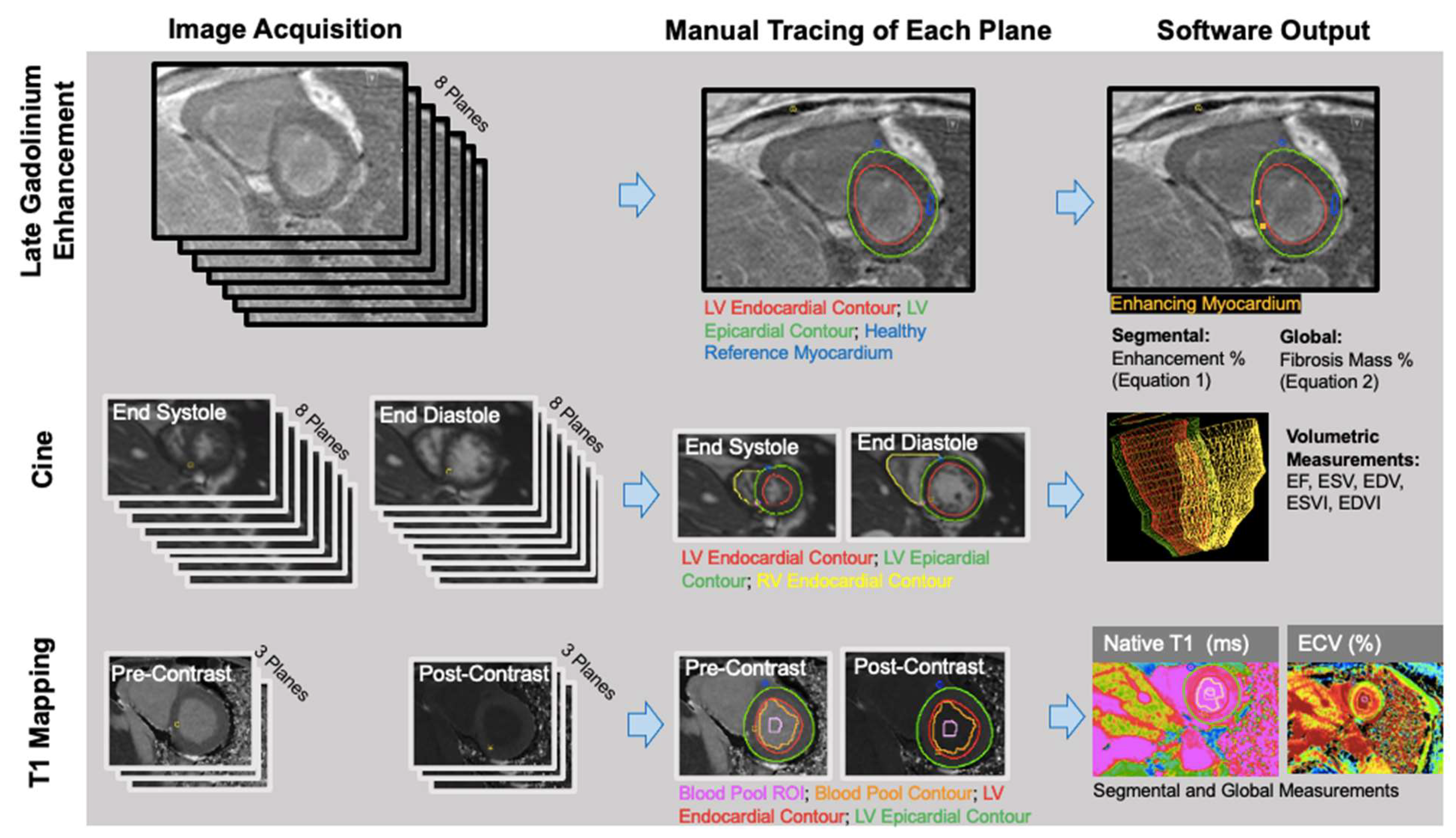 Diagnostics 13 00071 g001