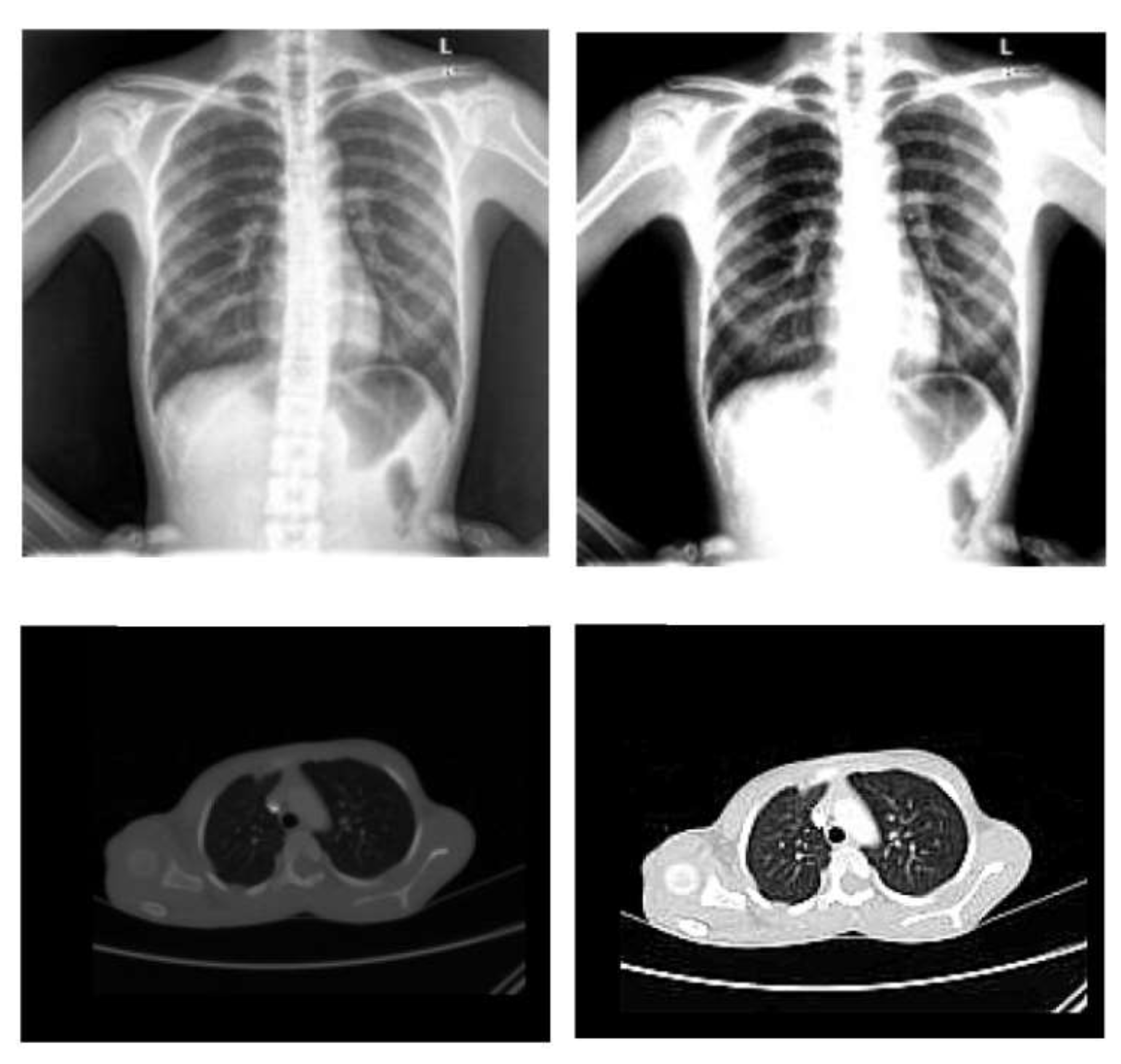 Diagnostics 13 00076 g002