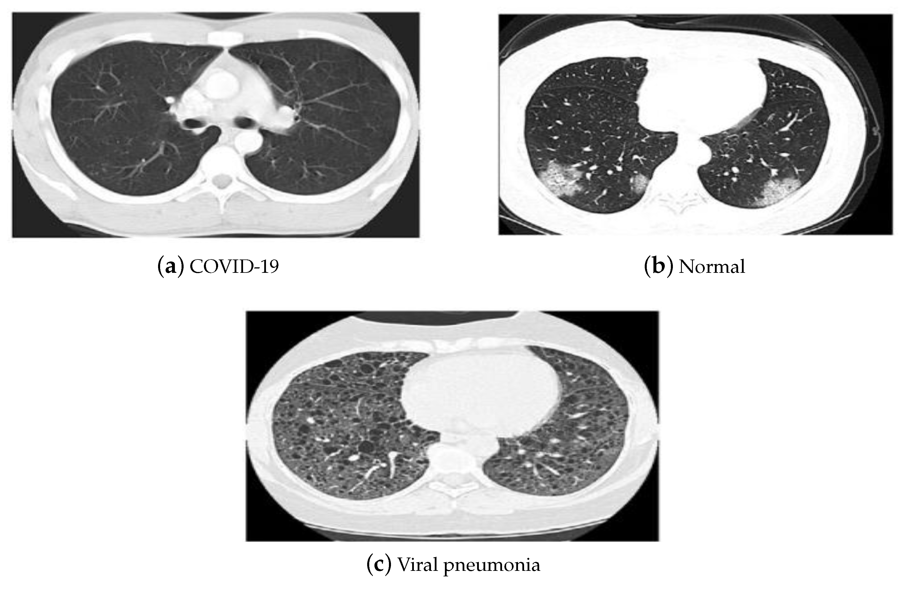 Diagnostics 13 00076 g005