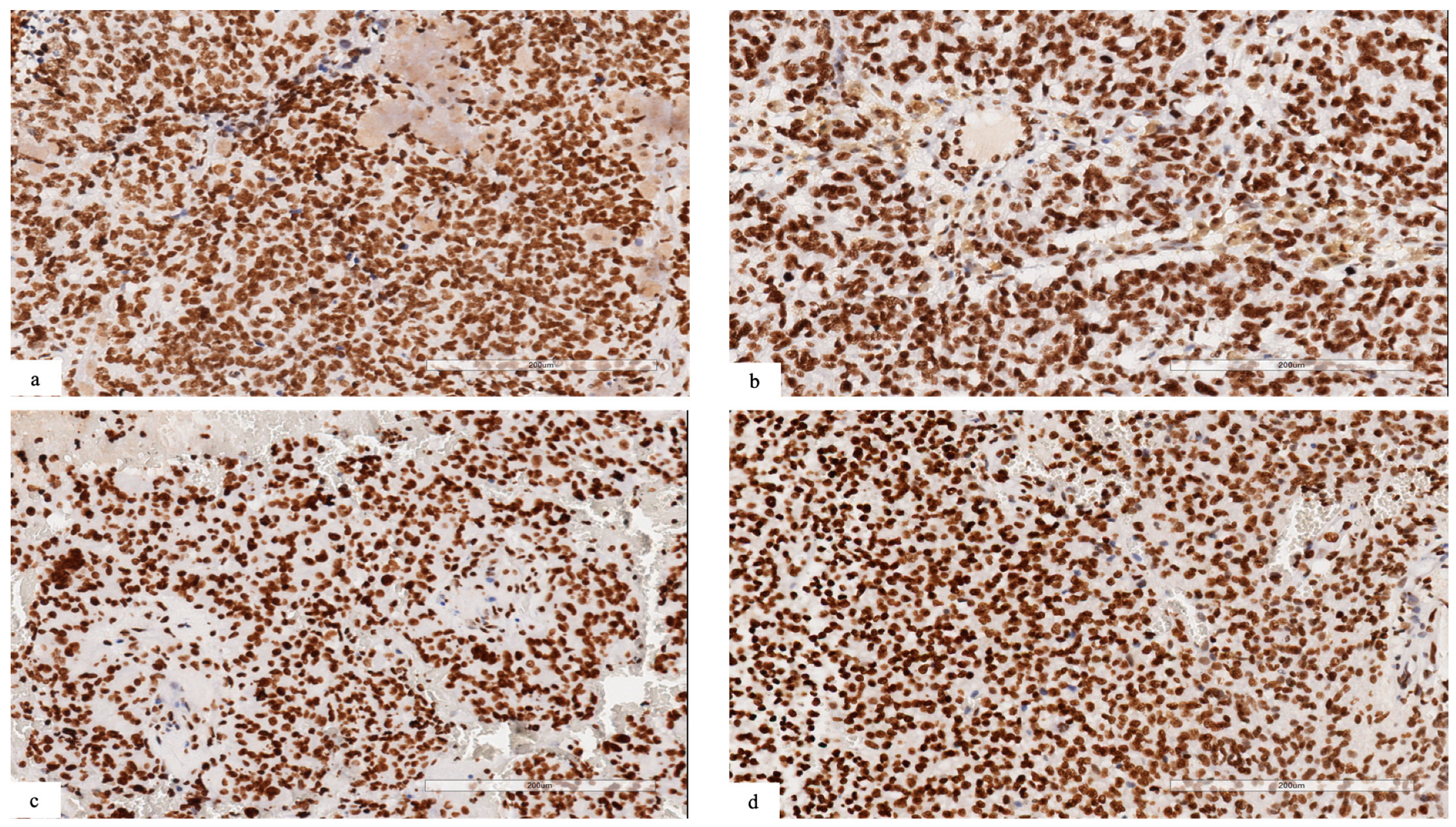 Diagnostics 13 00078 g002