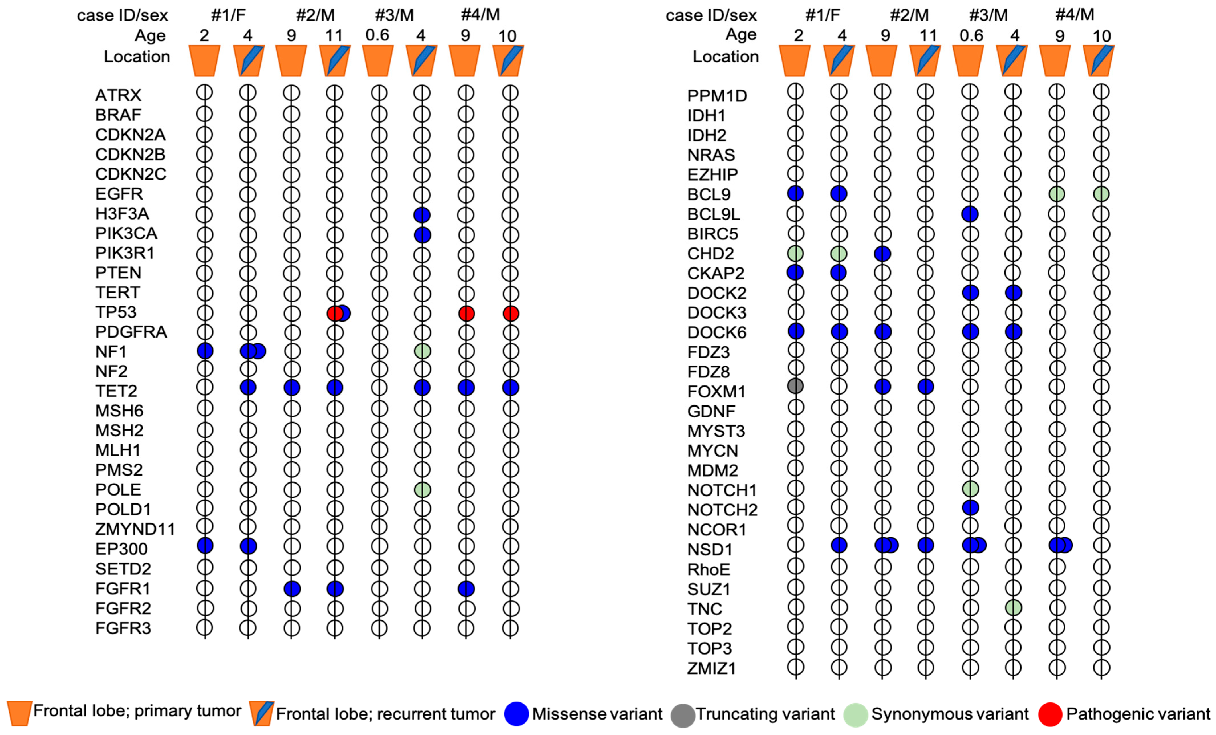 Diagnostics 13 00078 g004
