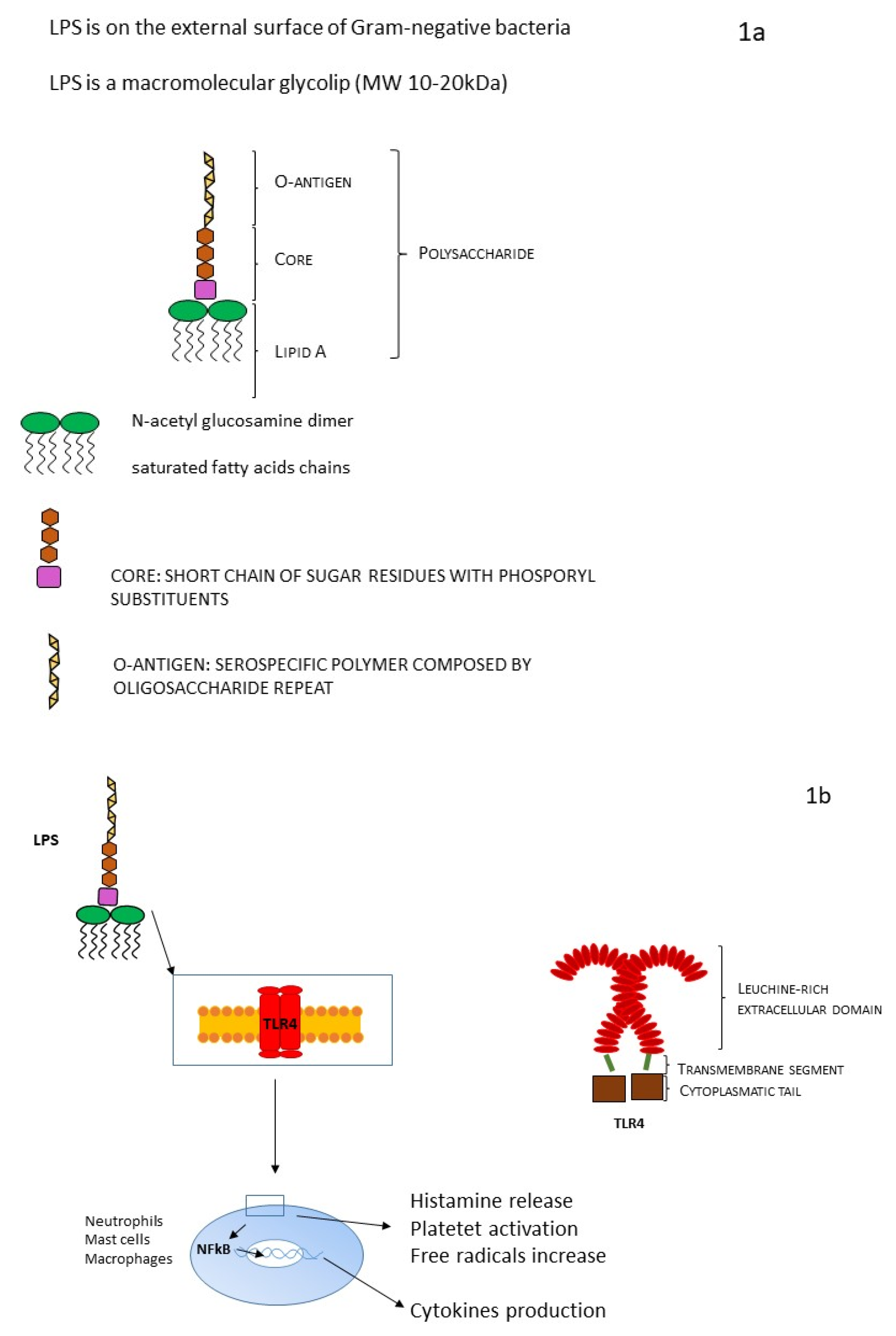 Endotoxin in Sepsis: Methods for LPS Detection and the Use of Omics  Techniques