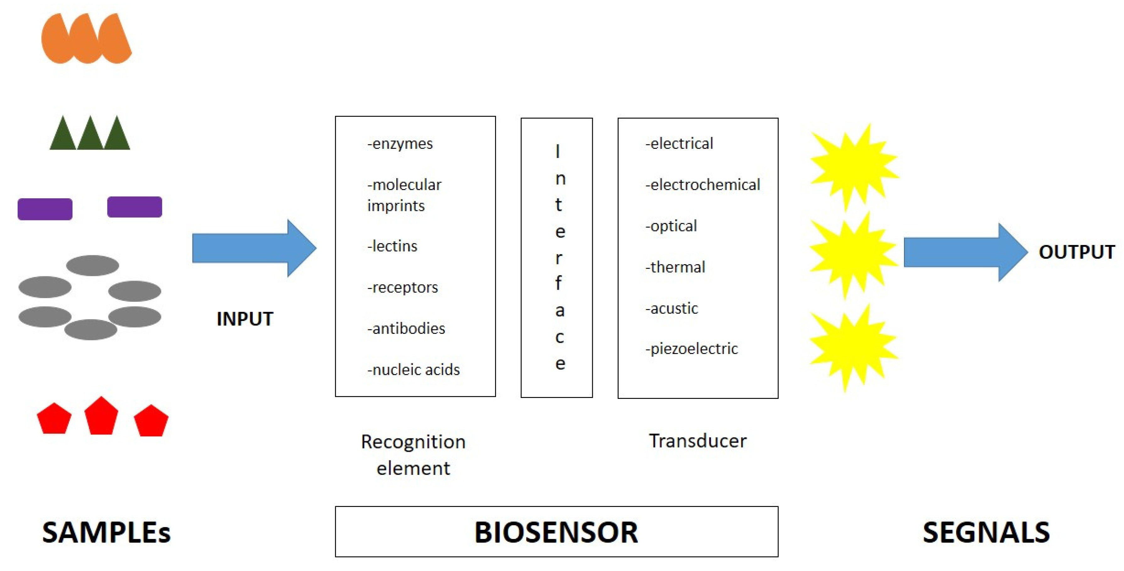 Diagnostics 13 00079 g002