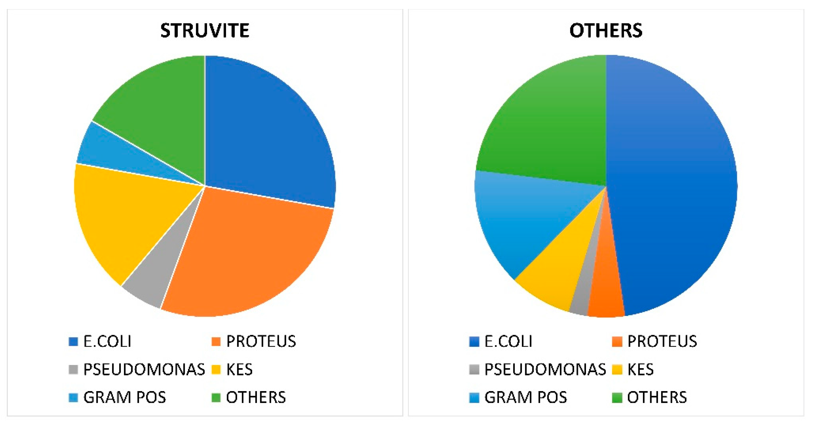 Diagnostics 13 00080 g004