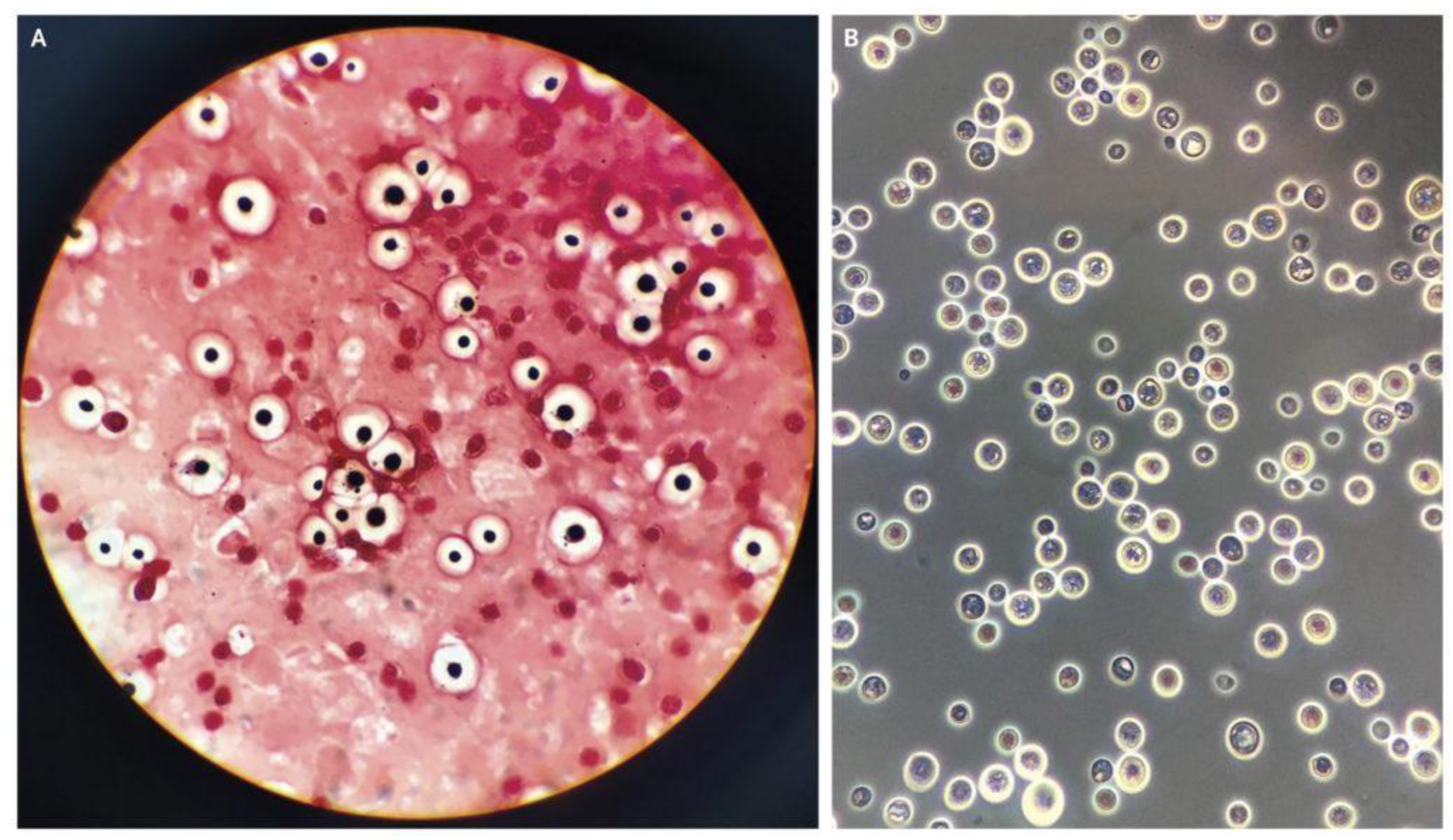 Diagnostics 13 00081 g001 Diagnostics 13 00081 g001