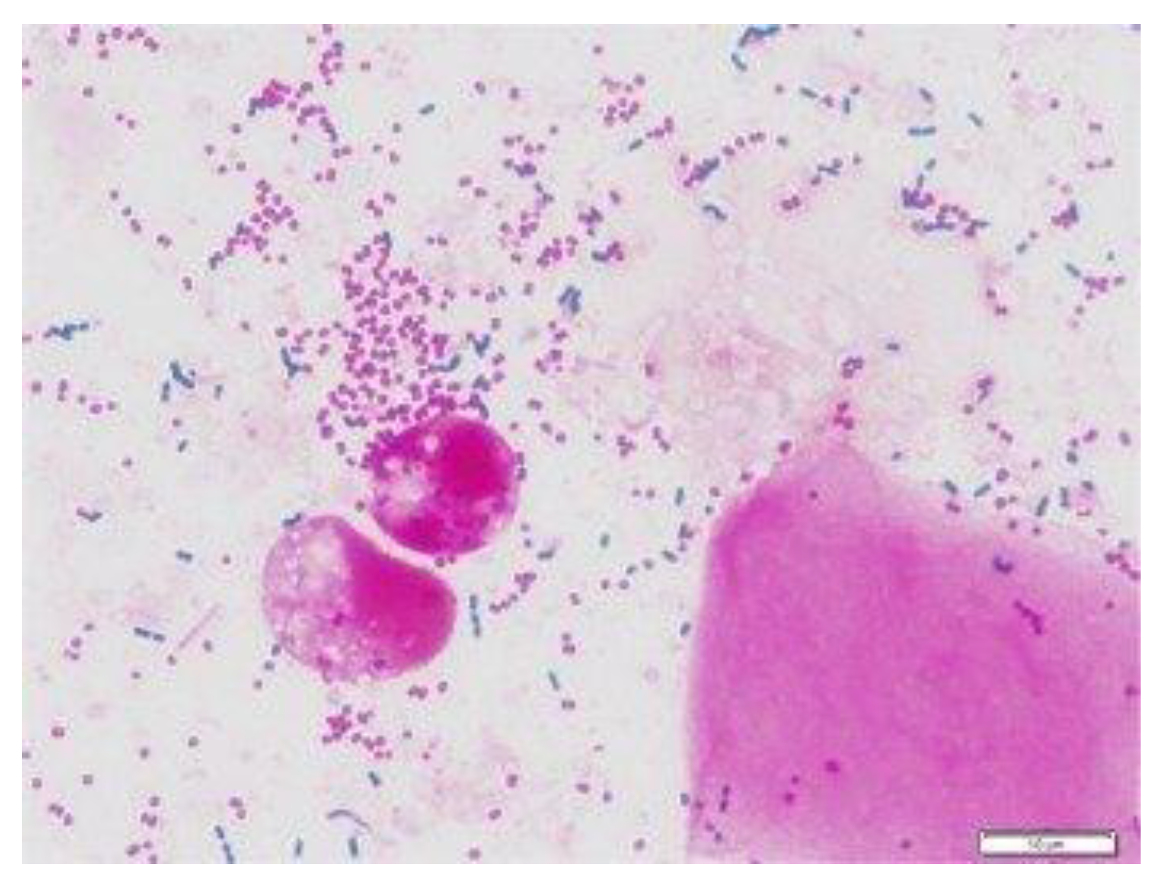 Diagnostics 13 00081 g002 Diagnostics 13 00081 g002