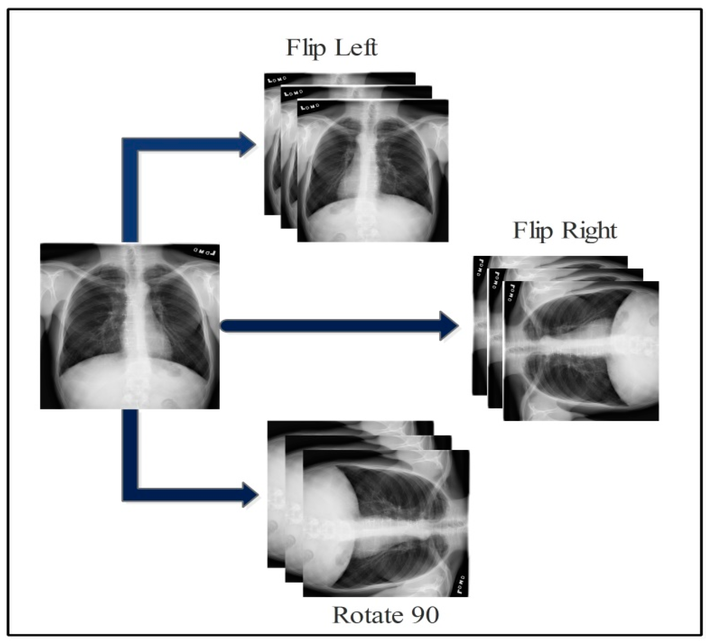 Diagnostics 13 00101 g003