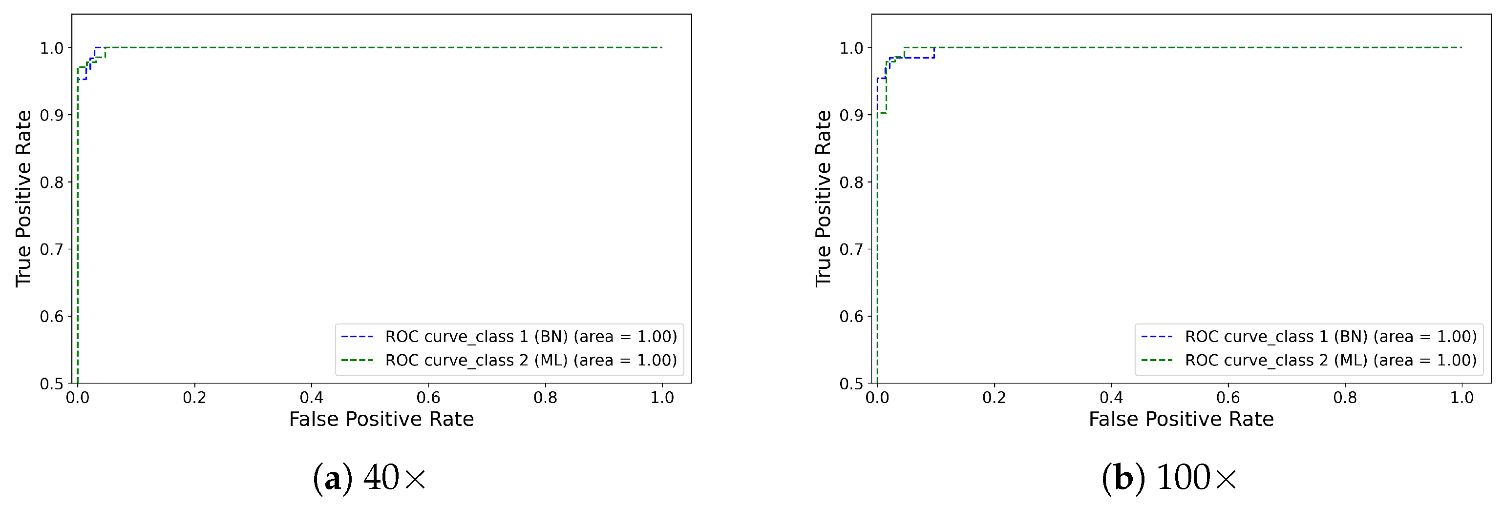 Diagnostics 13 00103 g005a Diagnostics 13 00103 g005a