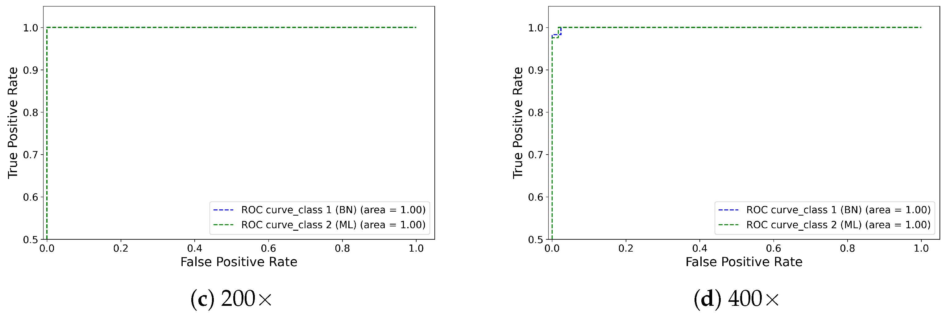 Diagnostics 13 00103 g005b Diagnostics 13 00103 g005b