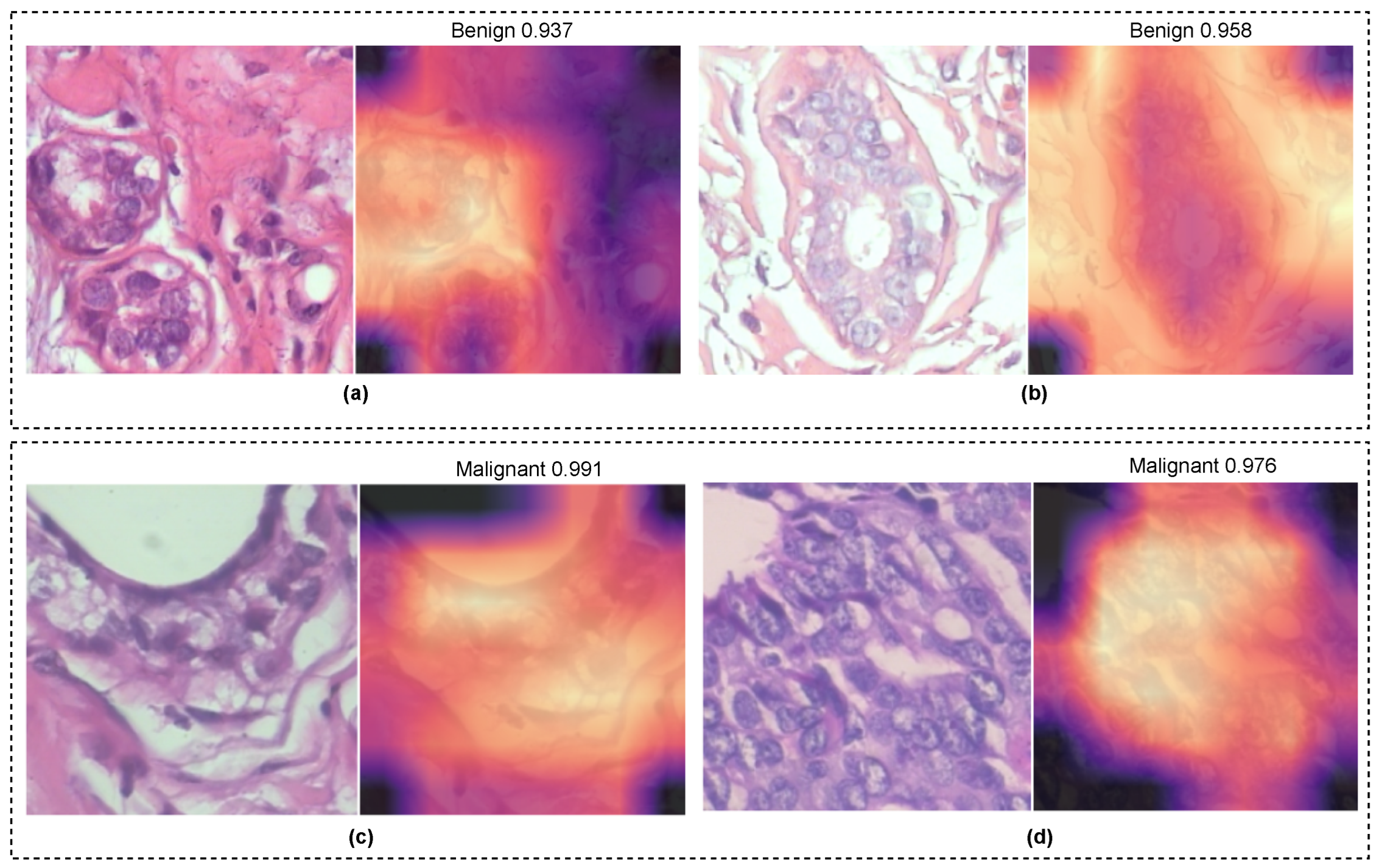 Diagnostics 13 00103 g009 Diagnostics 13 00103 g009