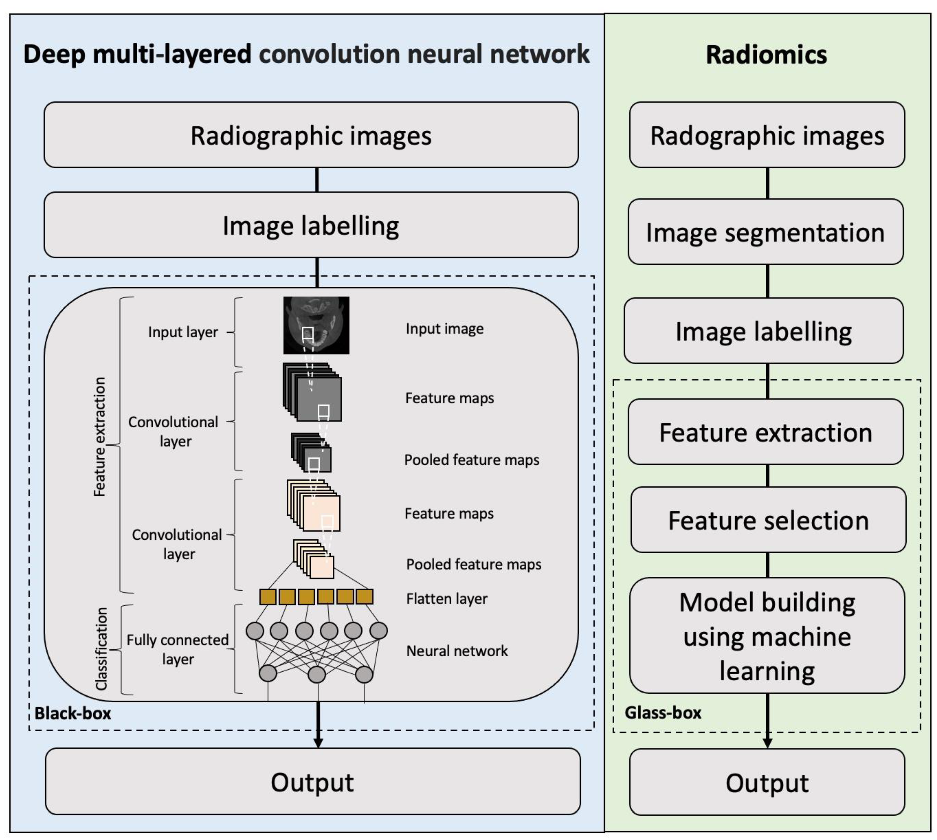Diagnostics 13 00110 g003