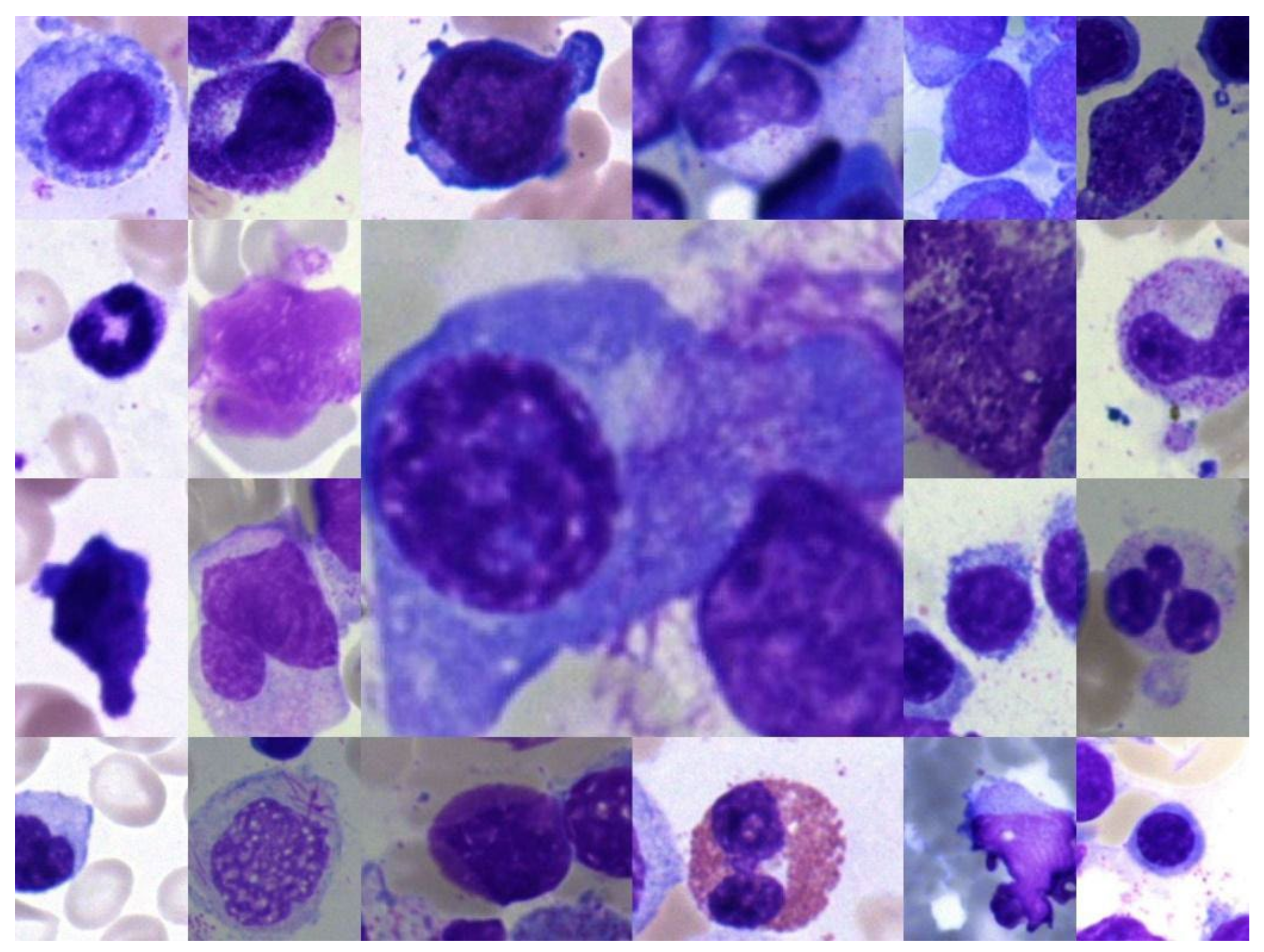 Diagnostics 13 00112 g001 Diagnostics 13 00112 g001