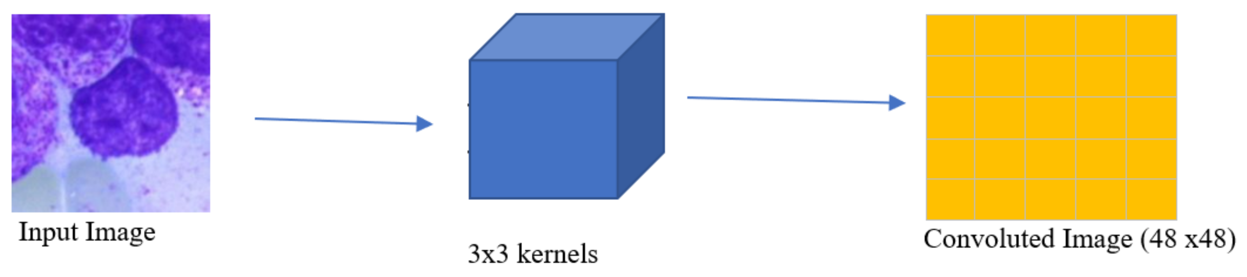 Diagnostics 13 00112 g004 Diagnostics 13 00112 g004